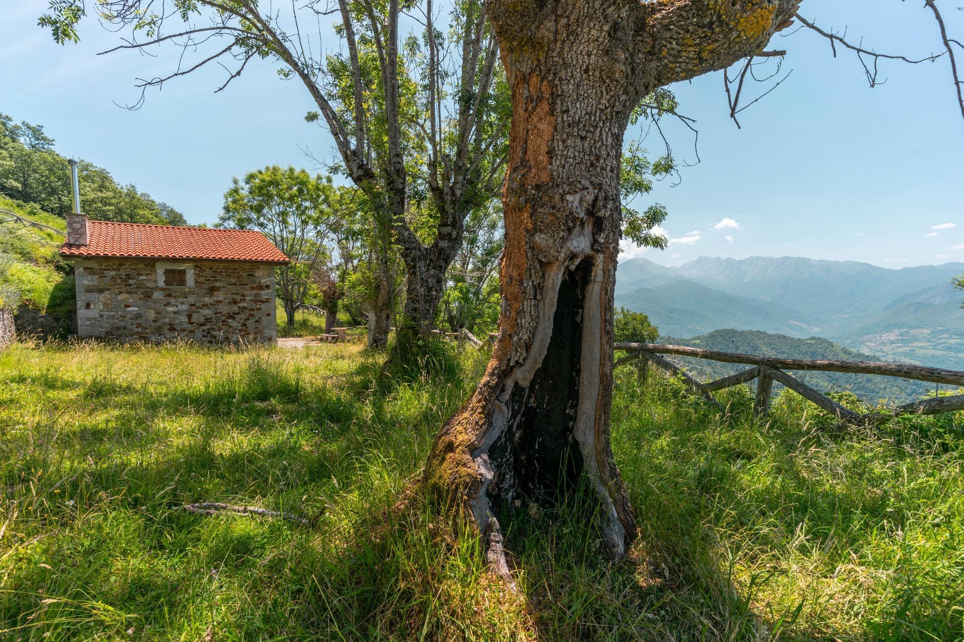 Casas o chalets-Venta-QuirÃ³s-1831999-Foto-17
