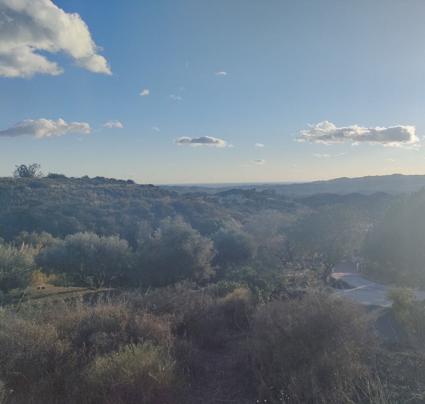 Fincas y solares-Venta-662951