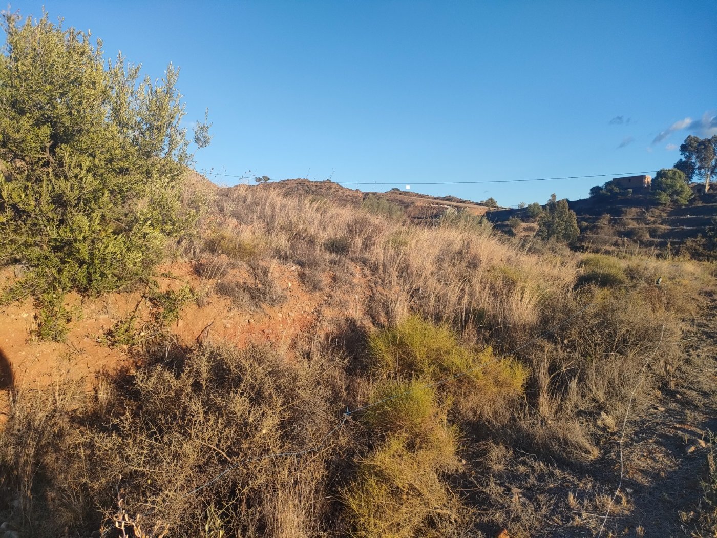 Fincas y solares-Venta-Mijas-662951-Foto-4