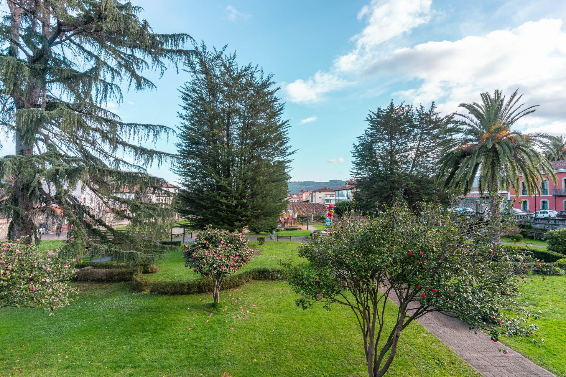 Pisos-Venta-Salas-1587419-Foto-26