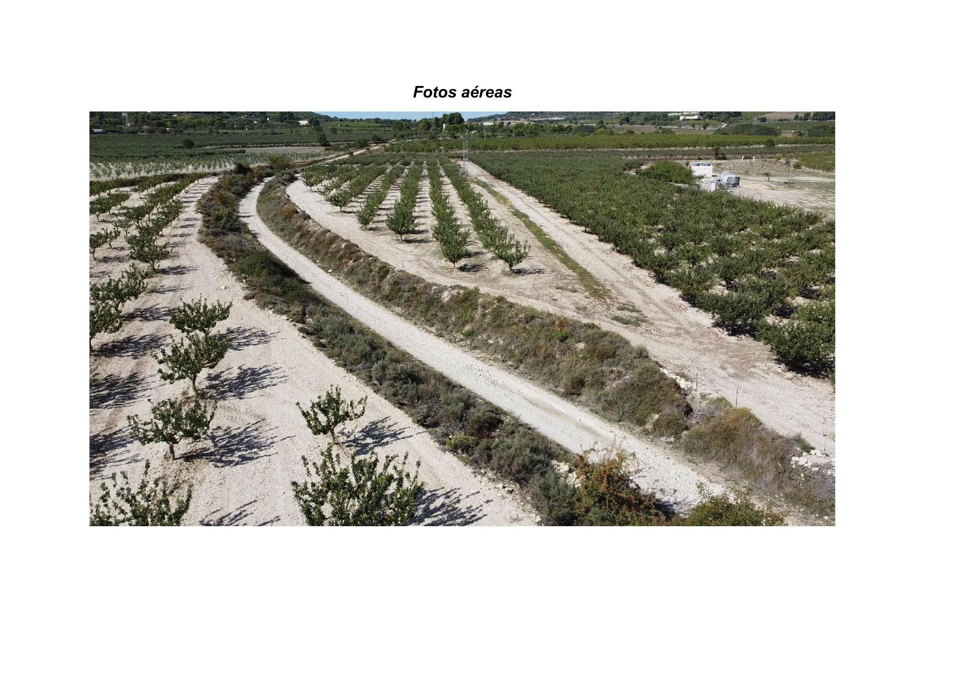 Fincas y solares-Venta-Jijona-Xixona-1421927