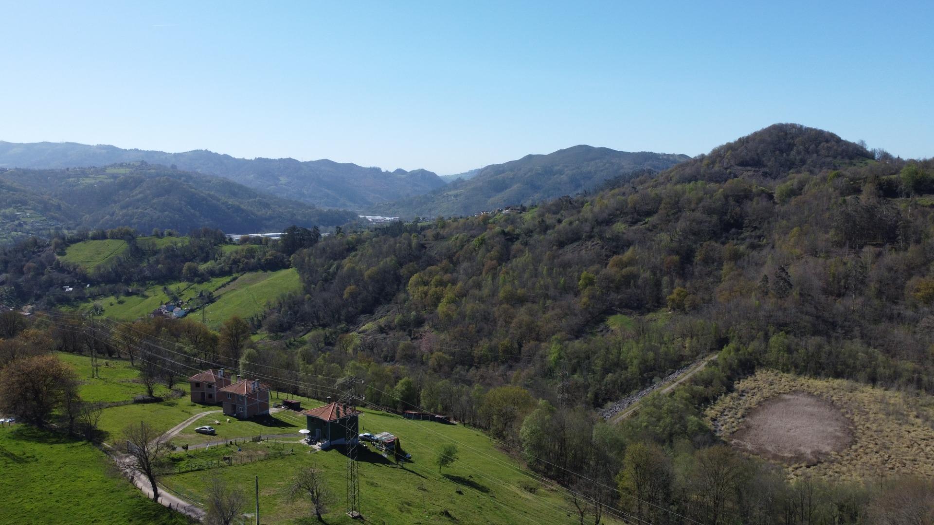 Casas o chalets-Venta-Langreo-2016086-Foto-12