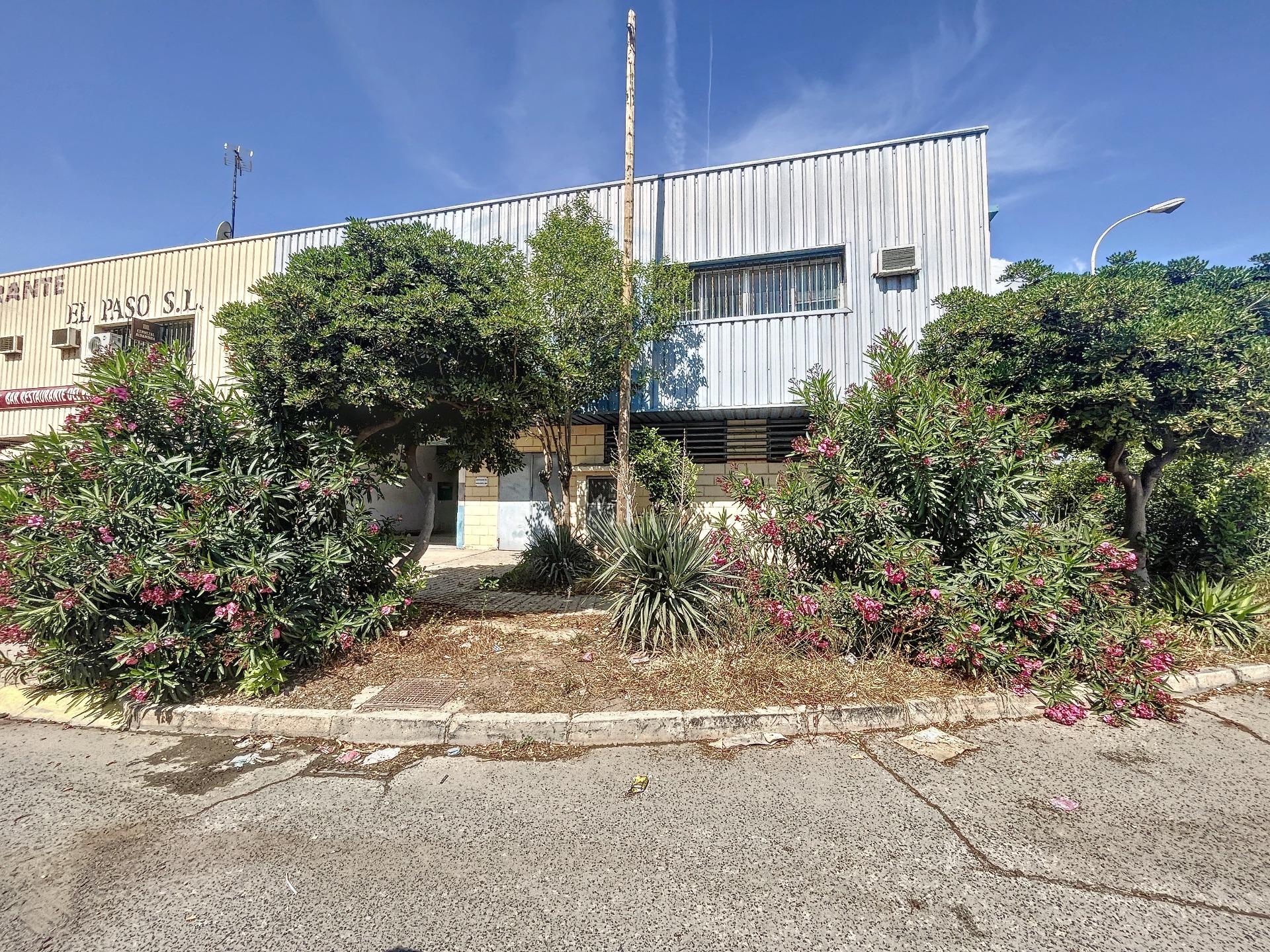 Naves-Venta-Sagunto-1385717-Foto-5
