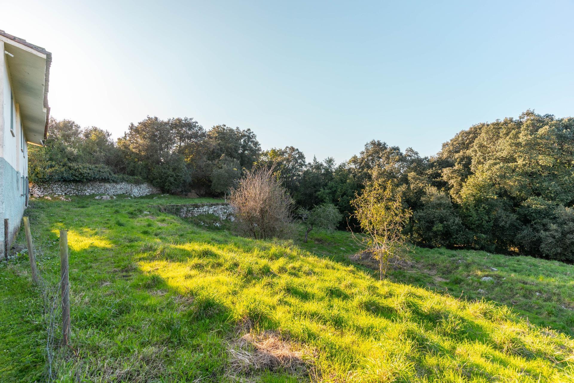 Casas o chalets-Venta-Les Avellanes i Santa Linya-1837679-Foto-55