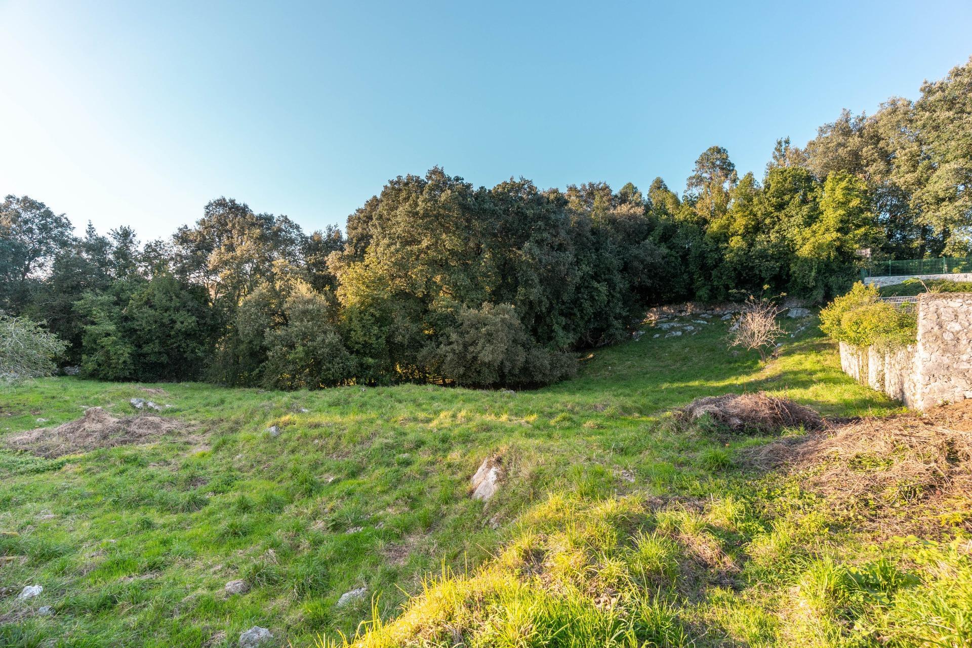 Casas o chalets-Venta-Les Avellanes i Santa Linya-1837679-Foto-59