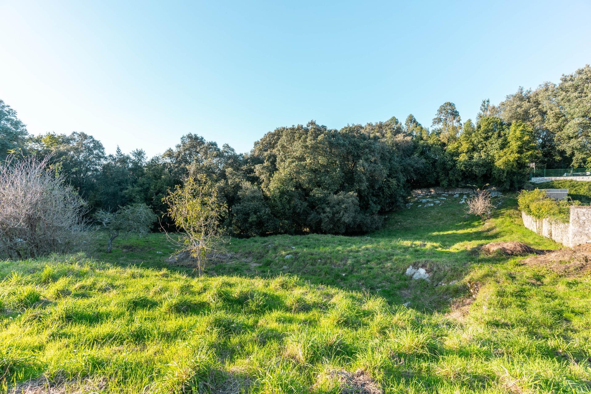 Casas o chalets-Venta-Les Avellanes i Santa Linya-1837679-Foto-63