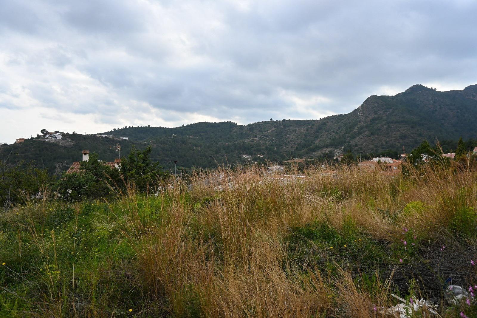 Fincas y solares-Venta-La Vall de Uixo-1653431