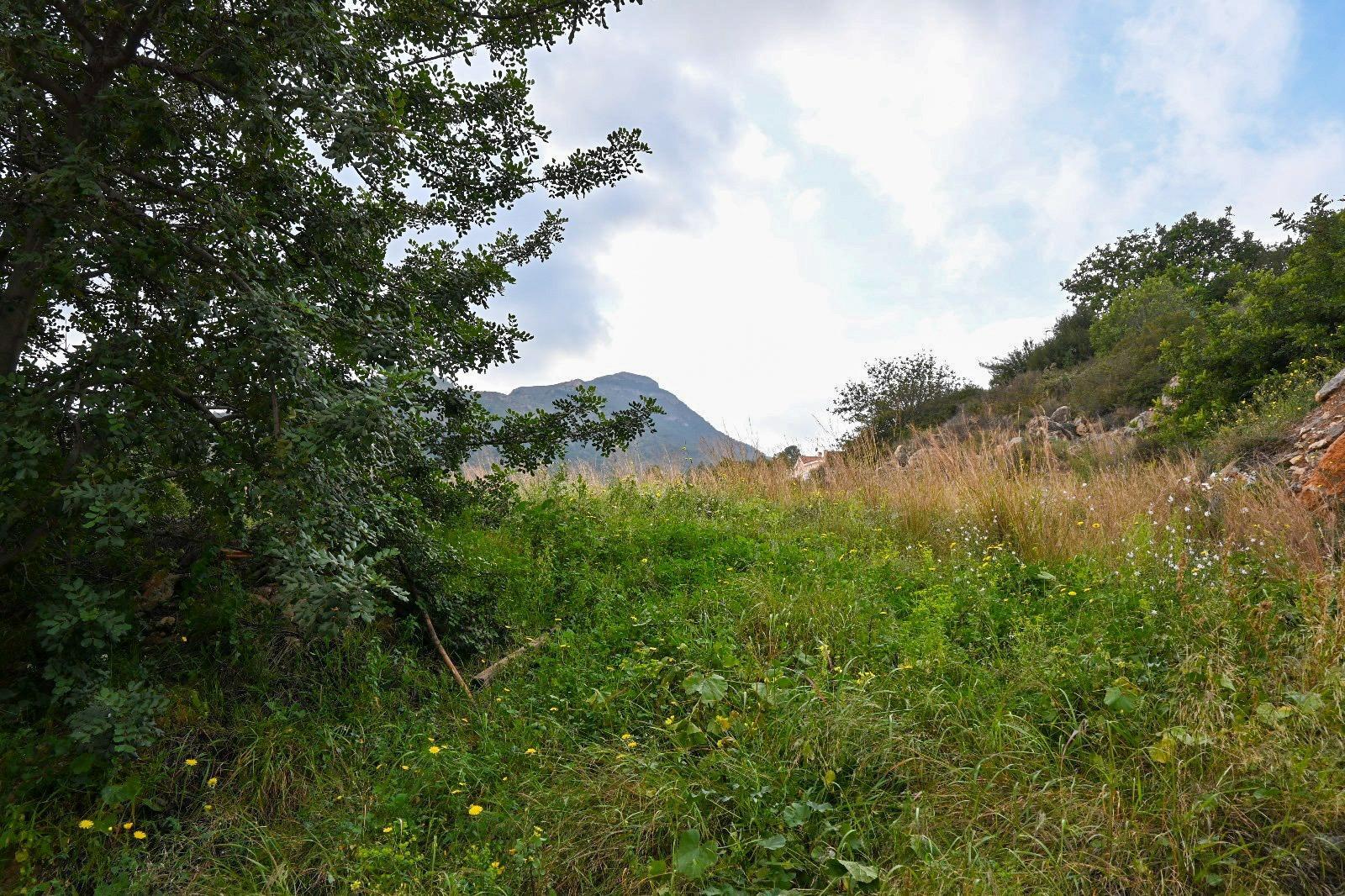 Fincas y solares-Venta-La Vall de Uixo-1653431-Foto-4
