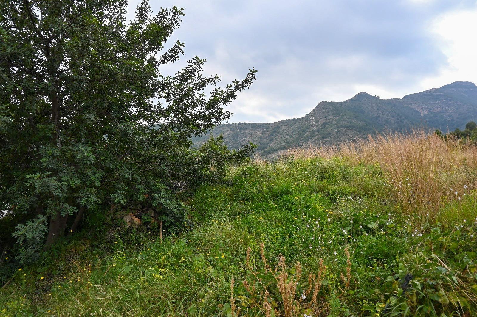 Fincas y solares-Venta-La Vall de Uixo-1653431-Foto-5