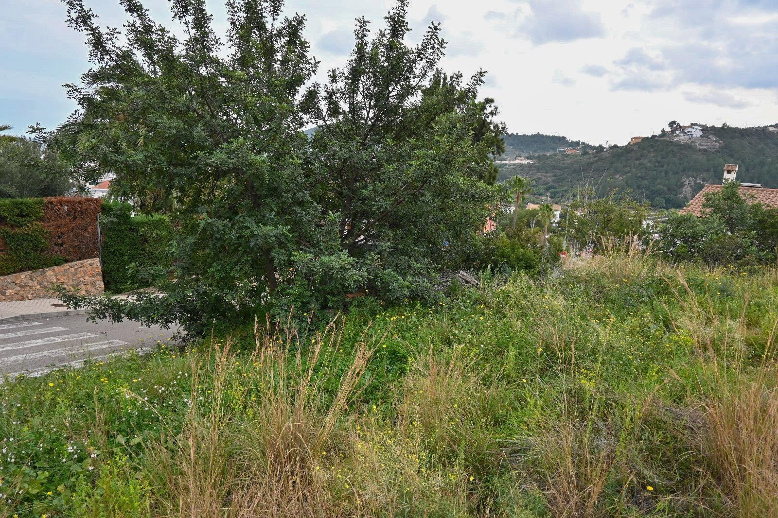 Fincas y solares-Venta-La Vall de Uixo-1653431-Foto-7