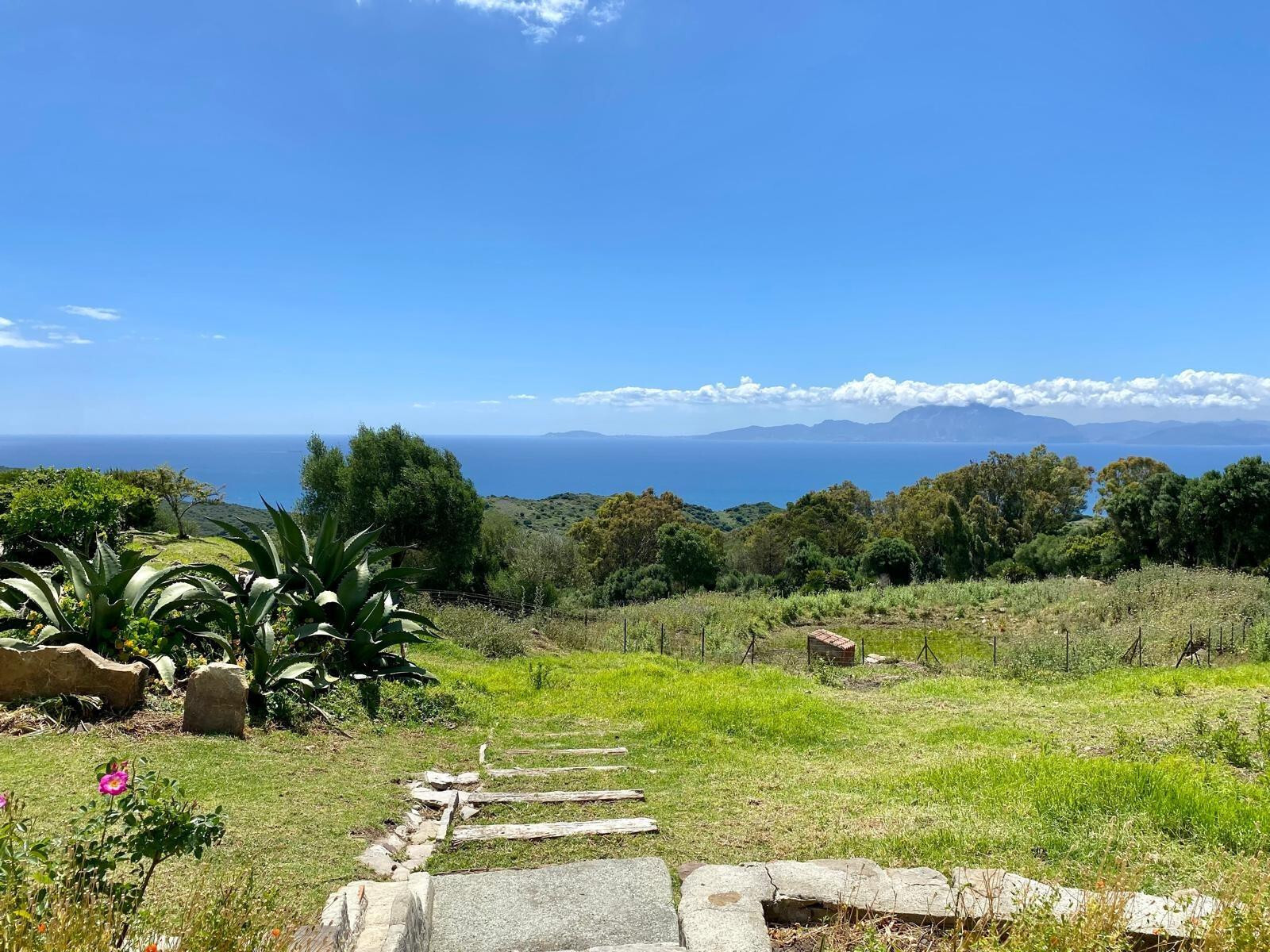 Fincas y solares-Venta-Tarifa-1830756-Foto-5