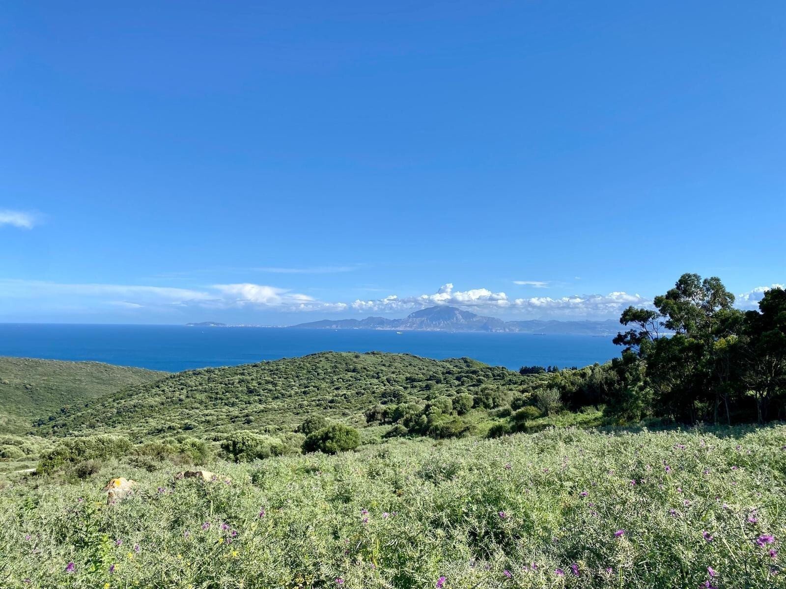 Fincas y solares-Venta-Tarifa-1830756-Foto-3