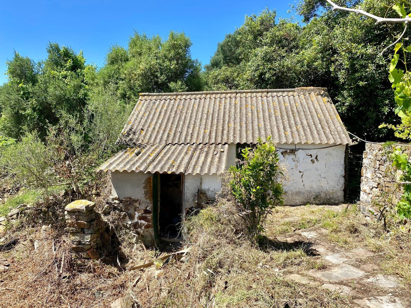 Fincas y solares-Venta-Tarifa-1830756-Foto-12