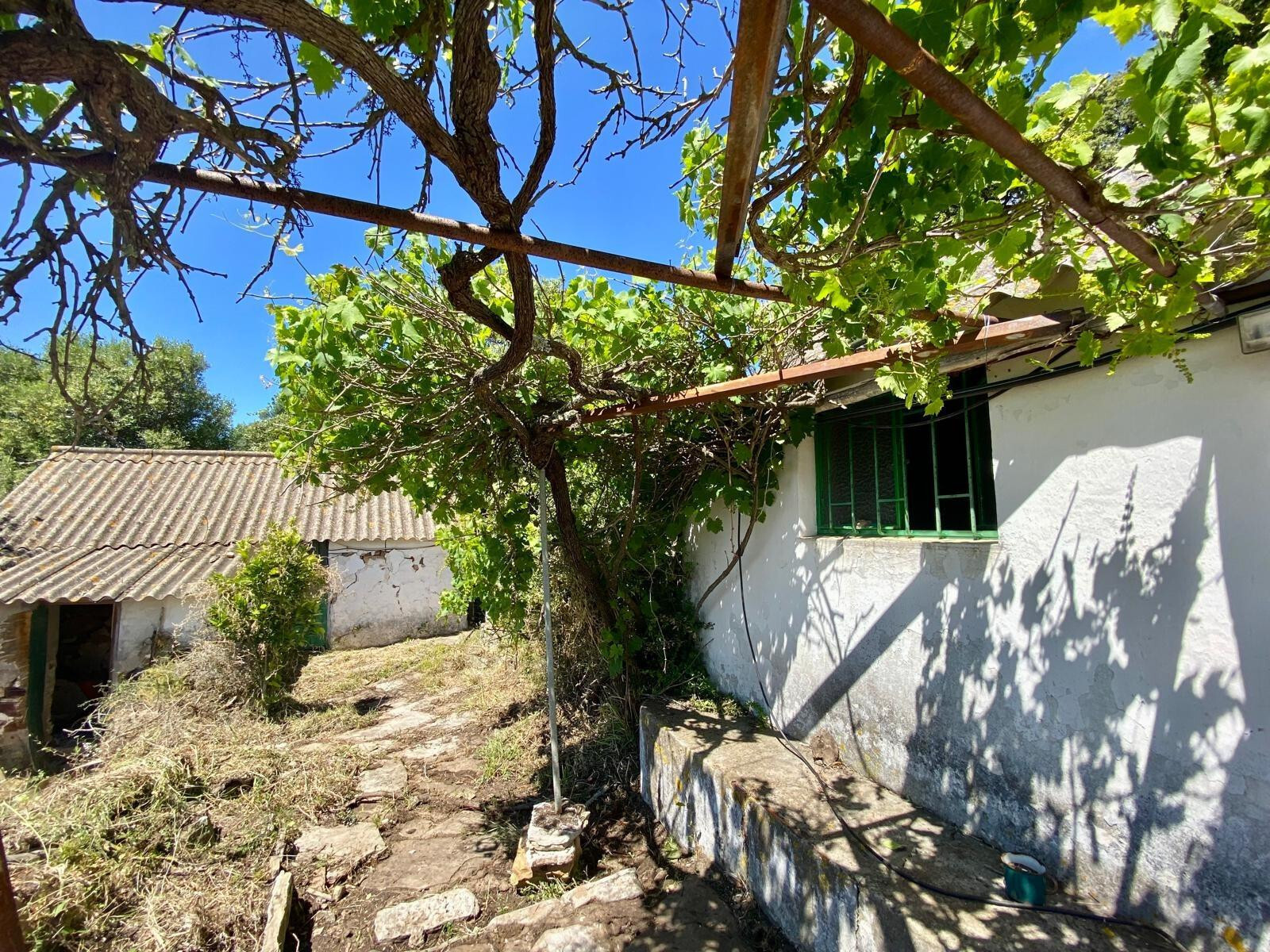 Fincas y solares-Venta-Tarifa-1830756-Foto-9