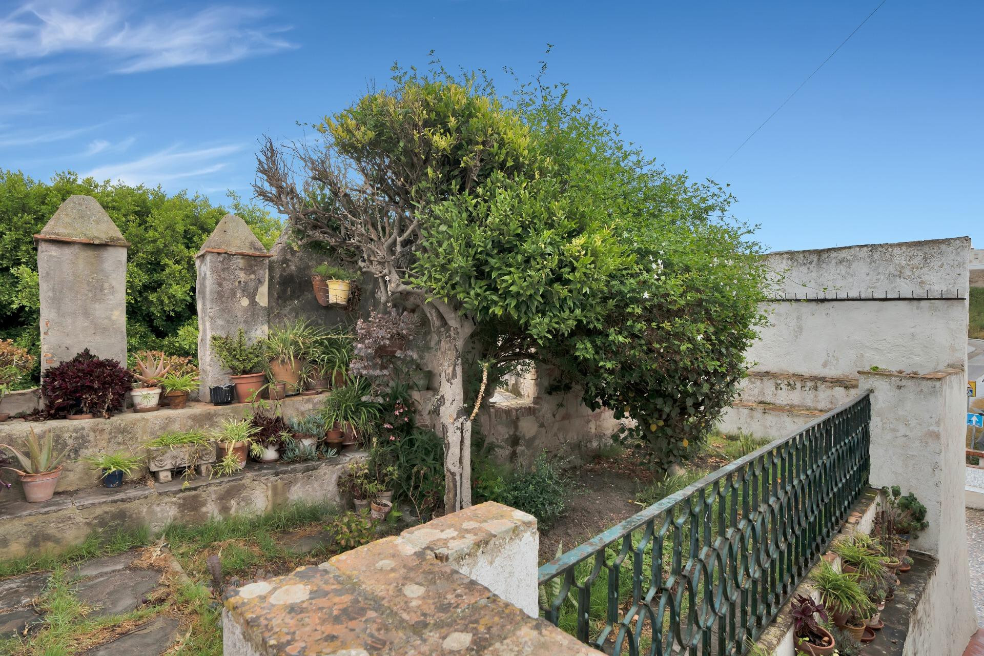 Casas o chalets-Venta-Tarifa-1830759-Foto-16
