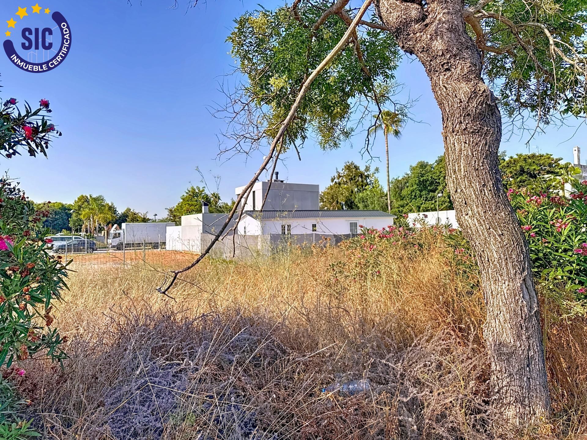 Fincas y solares-Venta-Loriguilla-1768781-Foto-21