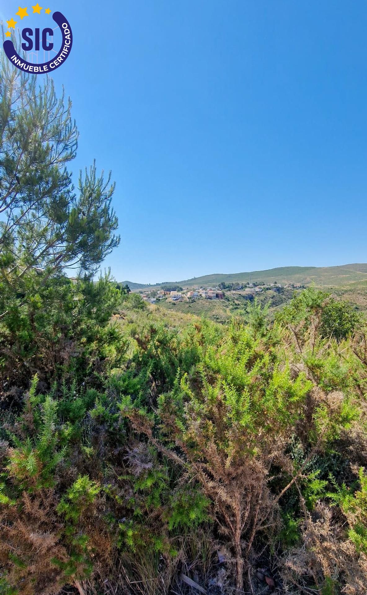 Fincas y solares-Venta-TurÃ­s-1768778-Foto-6