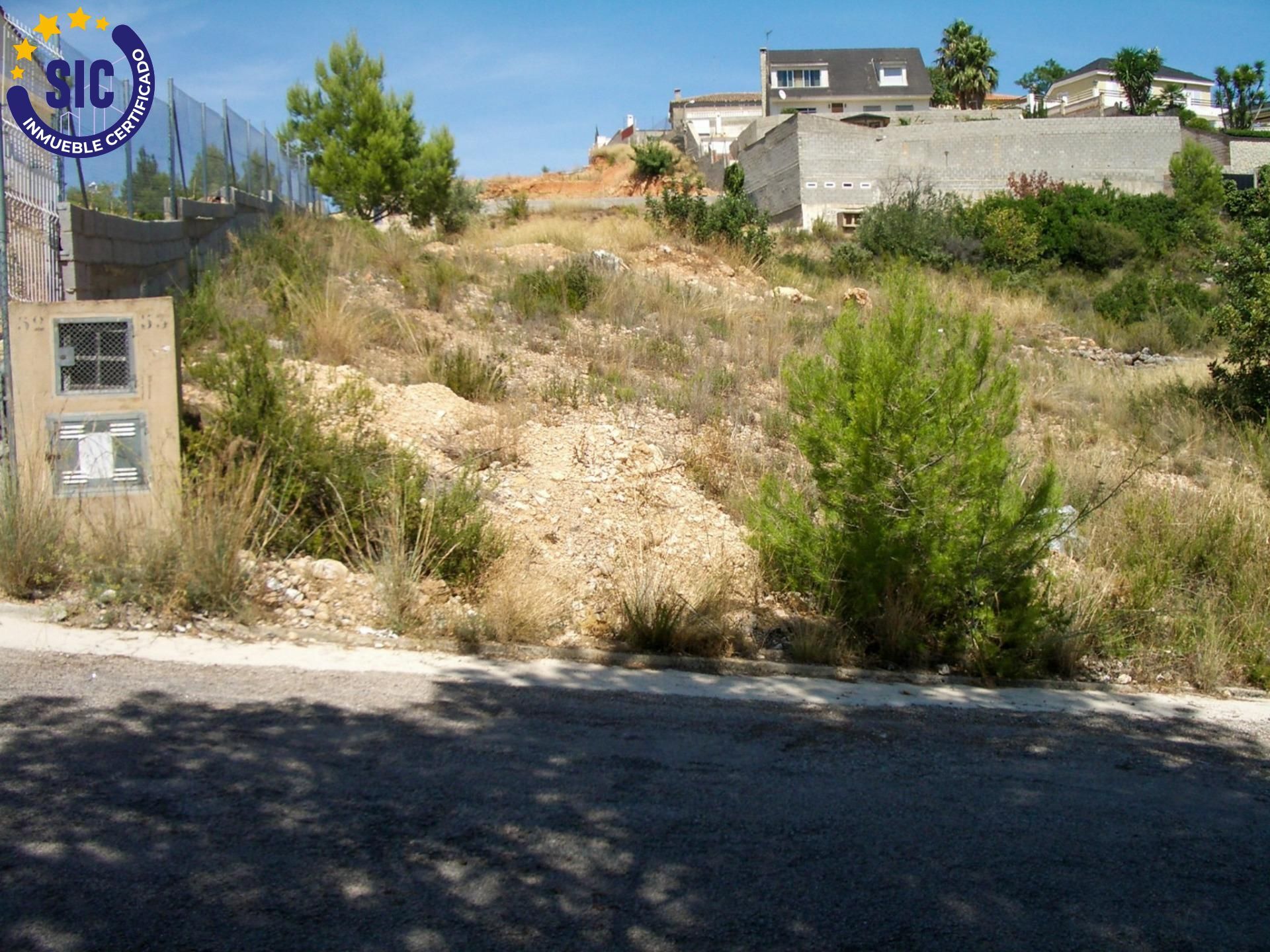 Fincas y solares-Venta-TurÃ­s-1768778-Foto-22