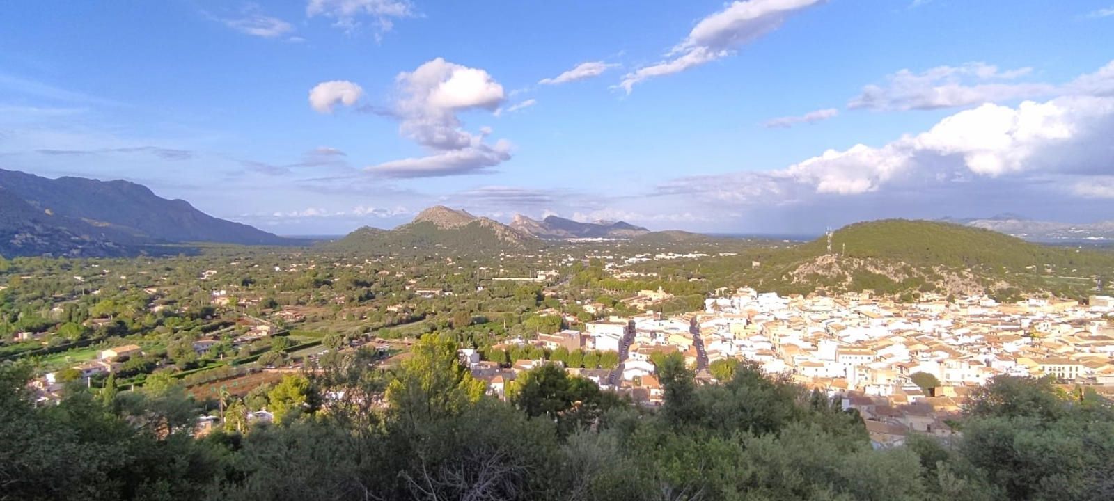 Fincas y solares-Venta-PollenÃ§a-1734190-Foto-14