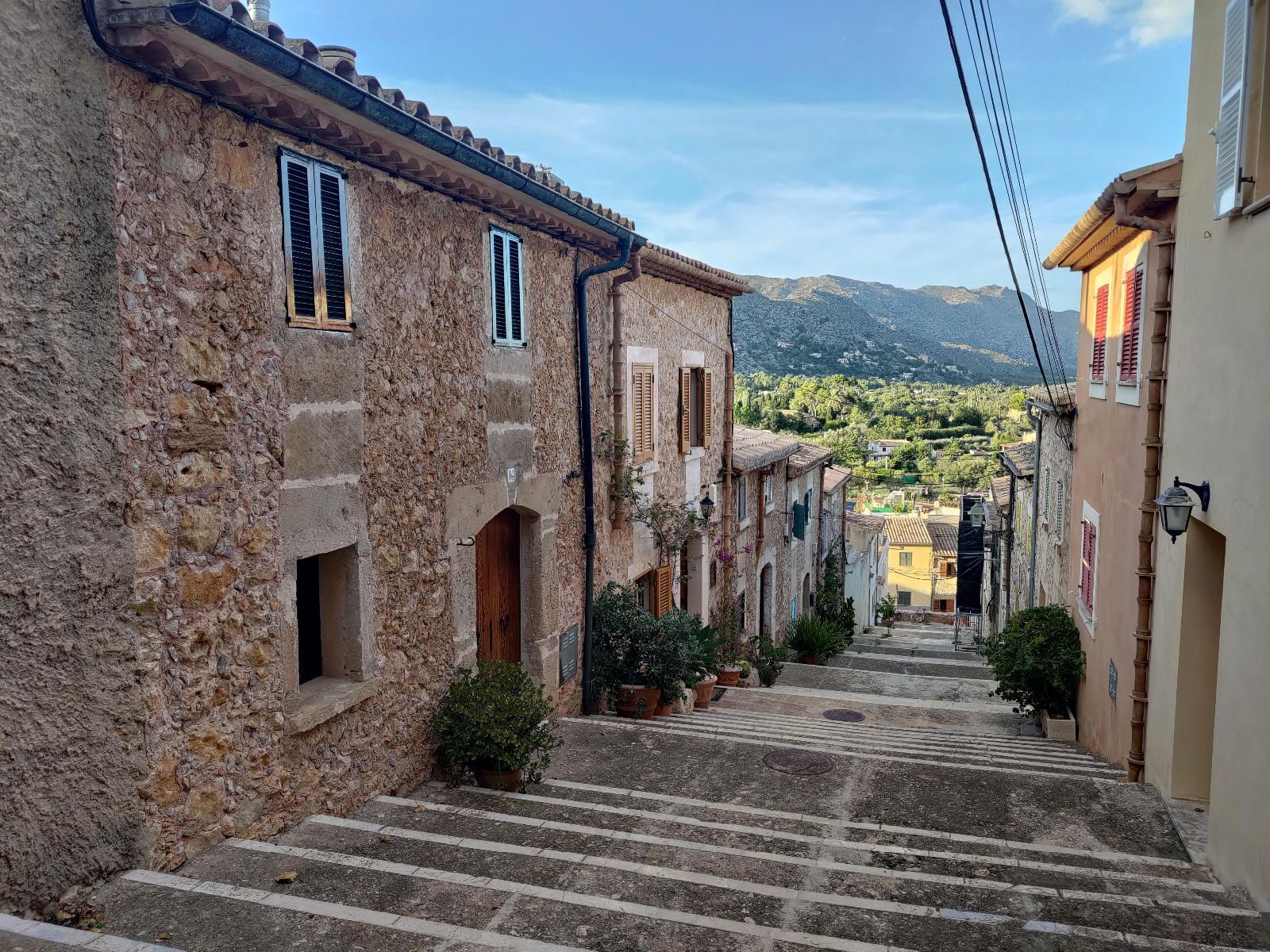 Fincas y solares-Venta-PollenÃ§a-1734190-Foto-10