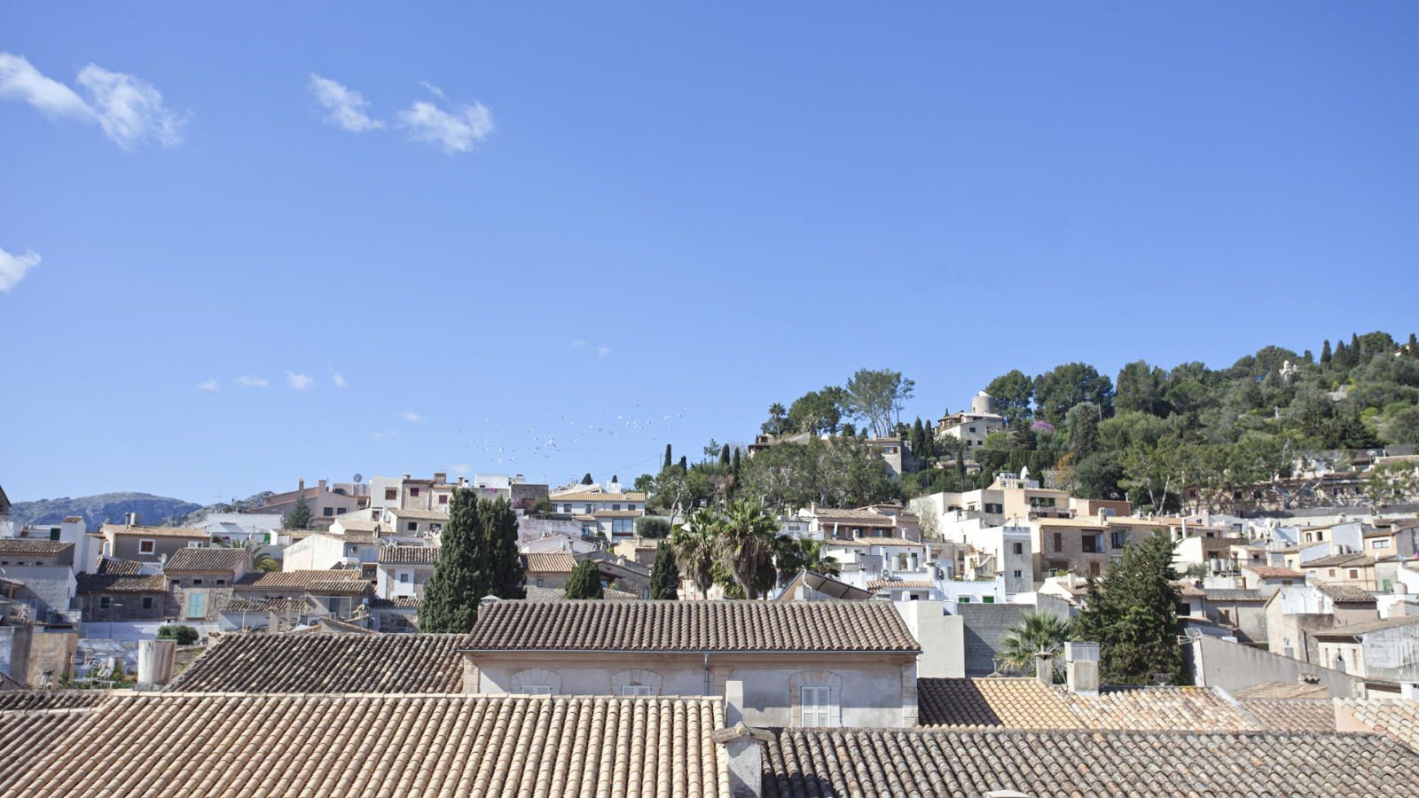 Fincas y solares-Venta-PollenÃ§a-1734190-Foto-16