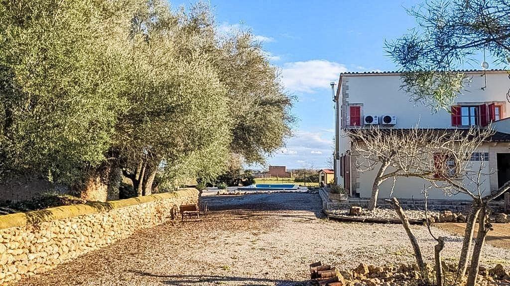 Pisos-Venta-Binissalem-1832243-Foto-22