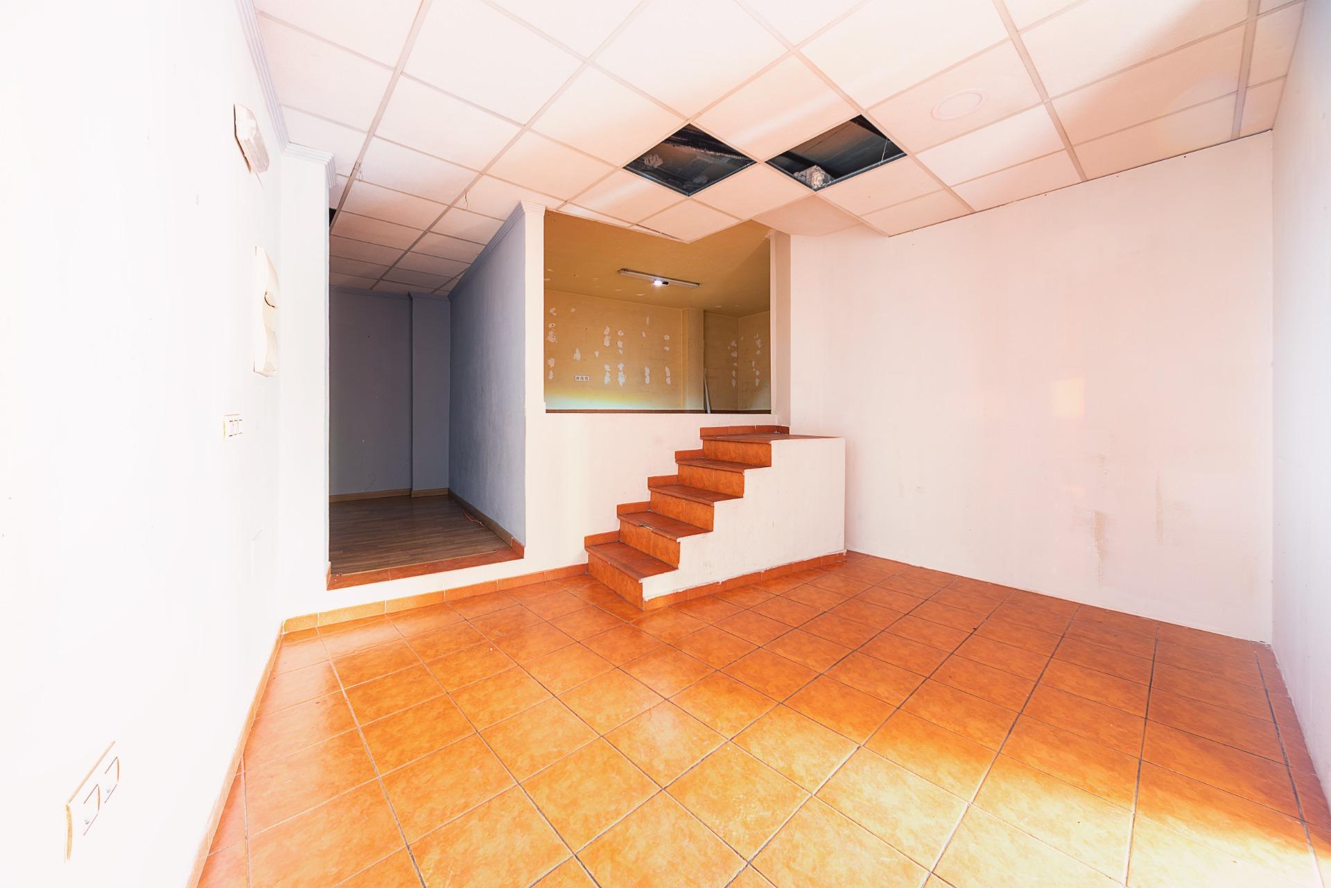 Negocios-Venta-Mula-1685542-Foto-9