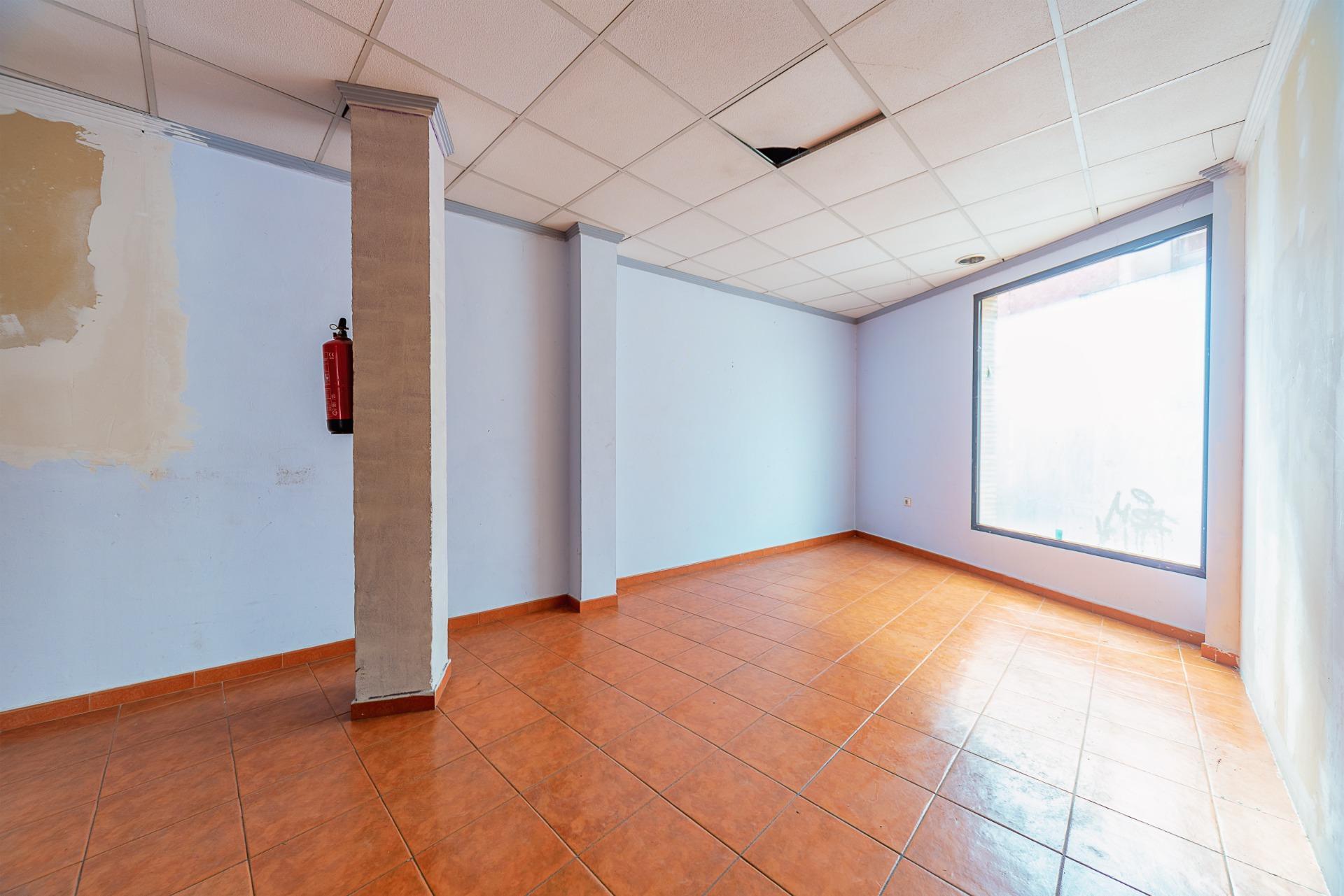 Negocios-Venta-Mula-1685542-Foto-7