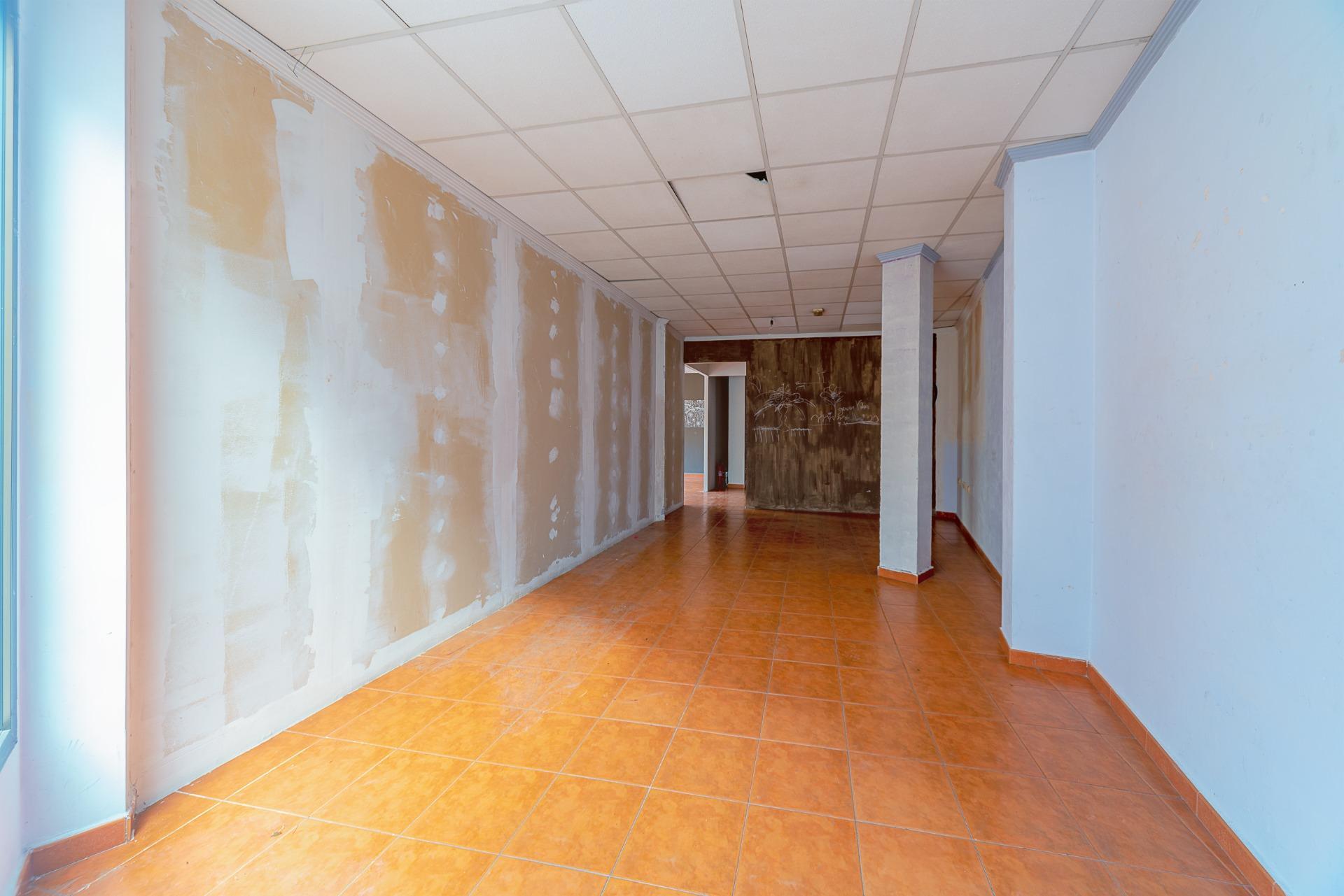 Negocios-Venta-Mula-1685542-Foto-8