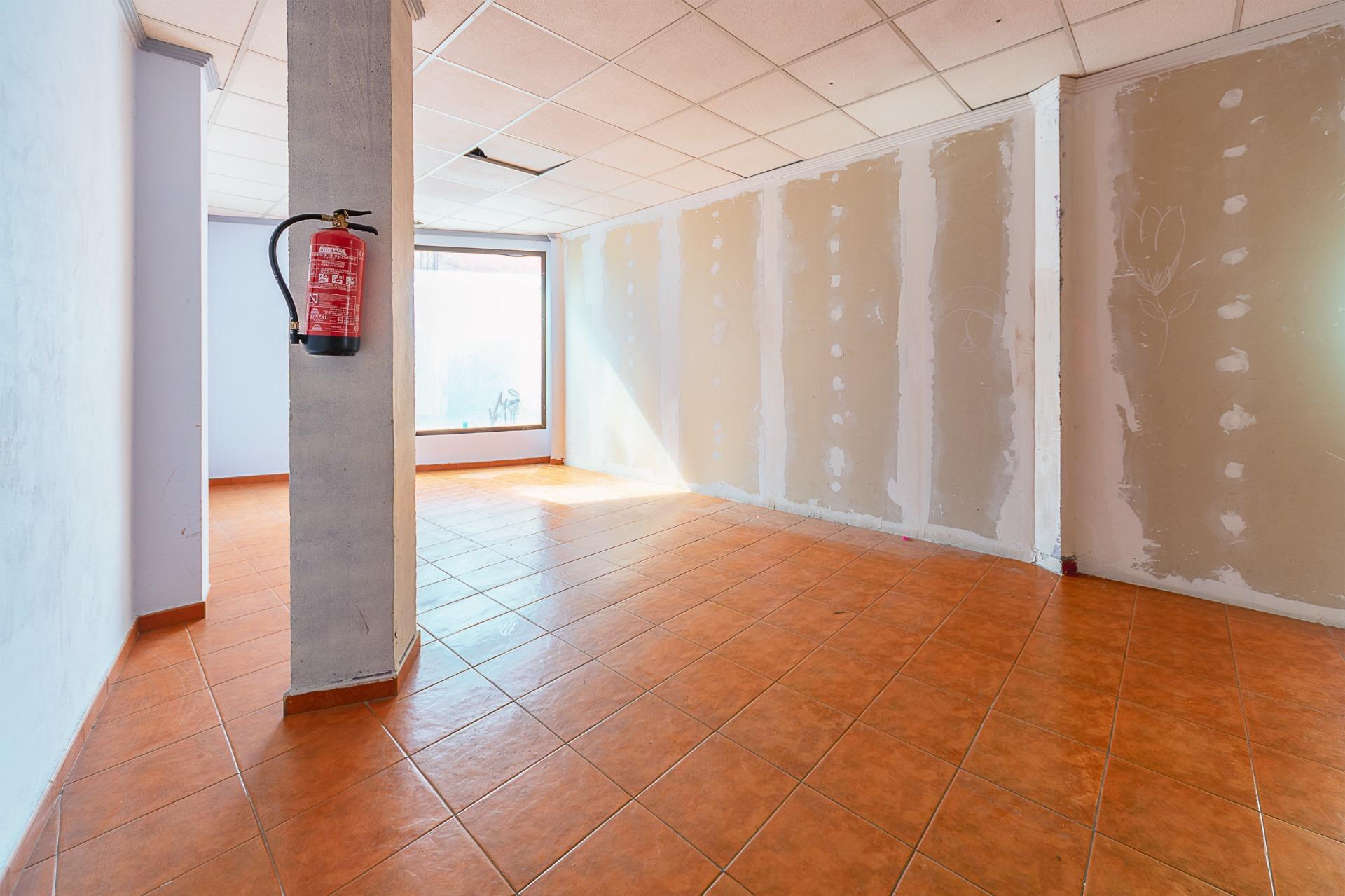 Negocios-Venta-Mula-1685542-Foto-6