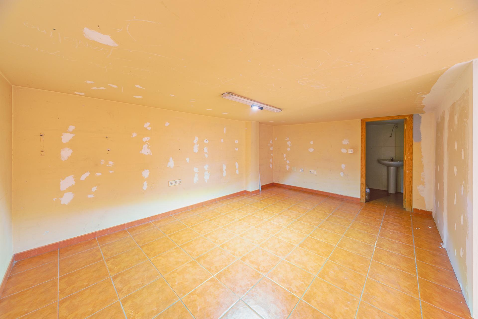 Negocios-Venta-Mula-1685542-Foto-10