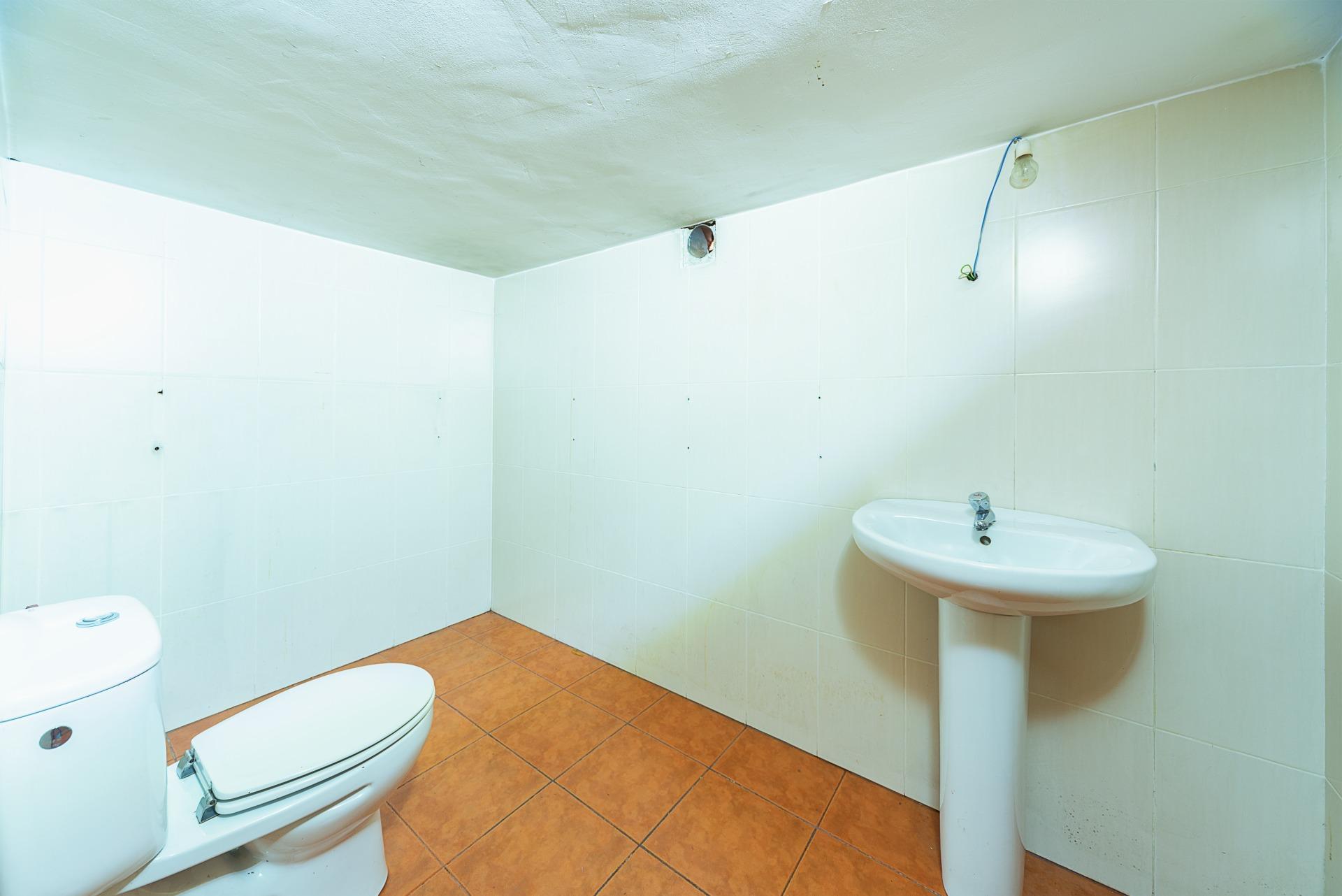 Negocios-Venta-Mula-1685542-Foto-12