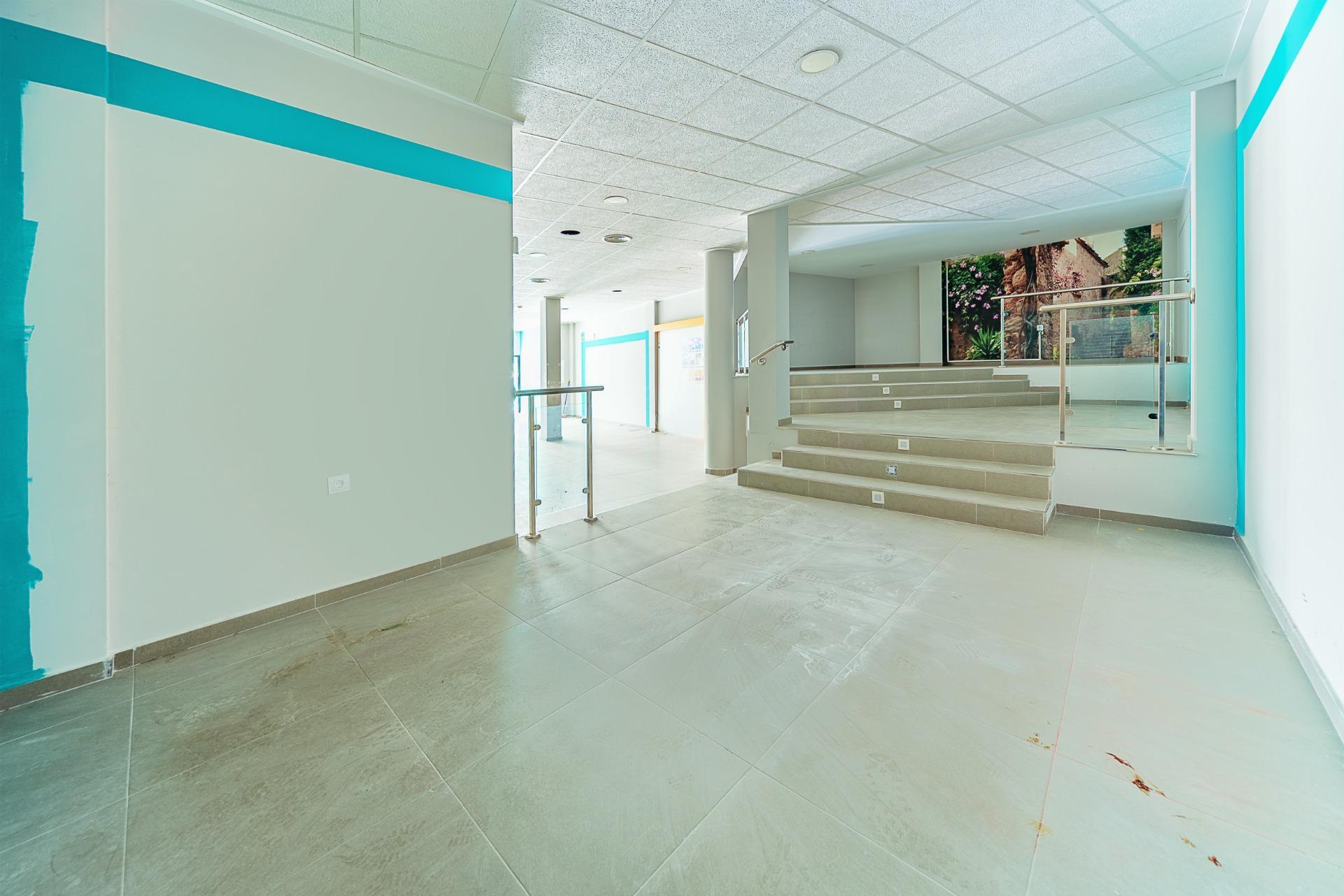 Negocios-Venta-Mula-1685530-Foto-9
