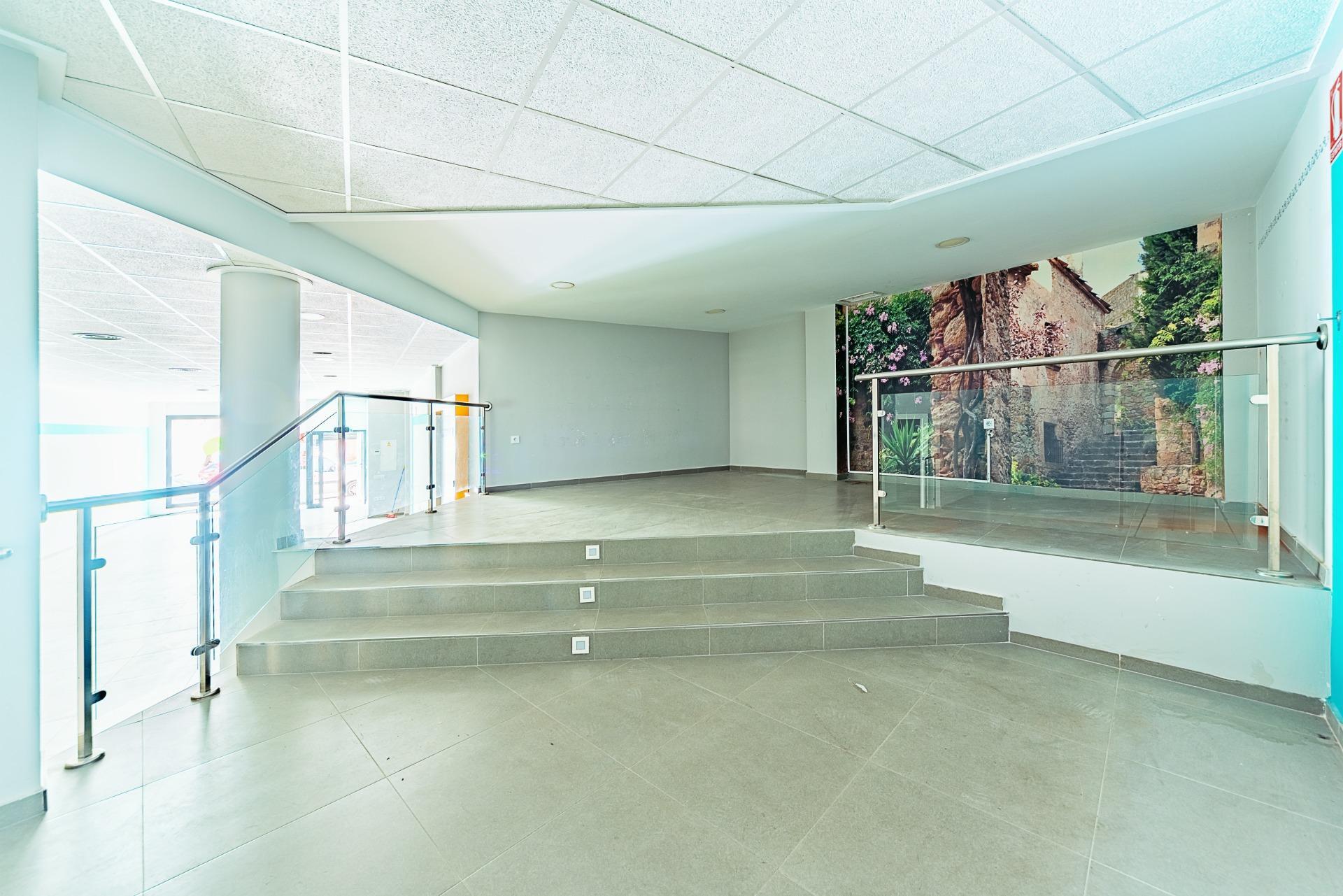Negocios-Venta-Mula-1685530-Foto-10