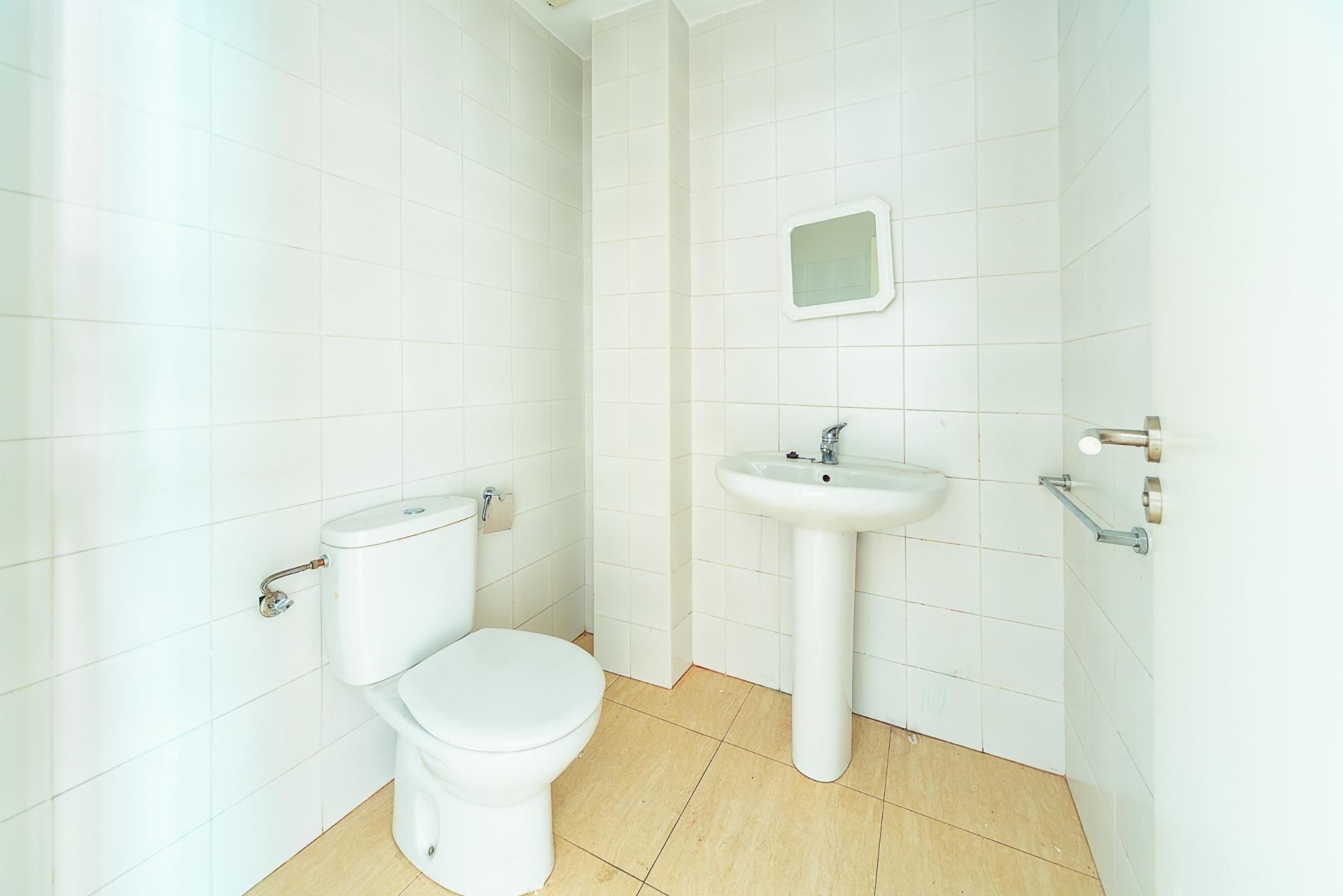Negocios-Venta-Mula-1685530-Foto-13