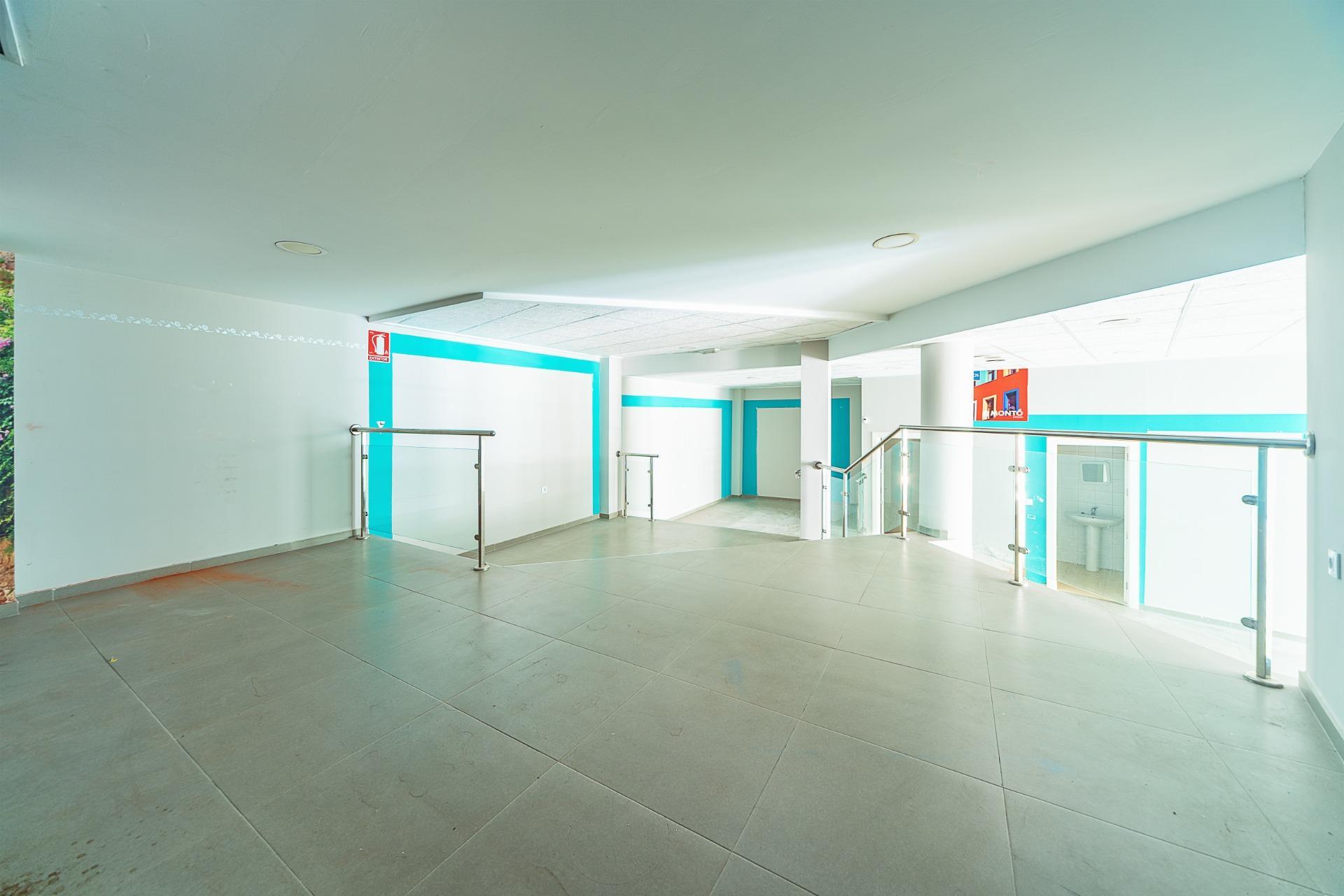 Negocios-Venta-Mula-1685530-Foto-12