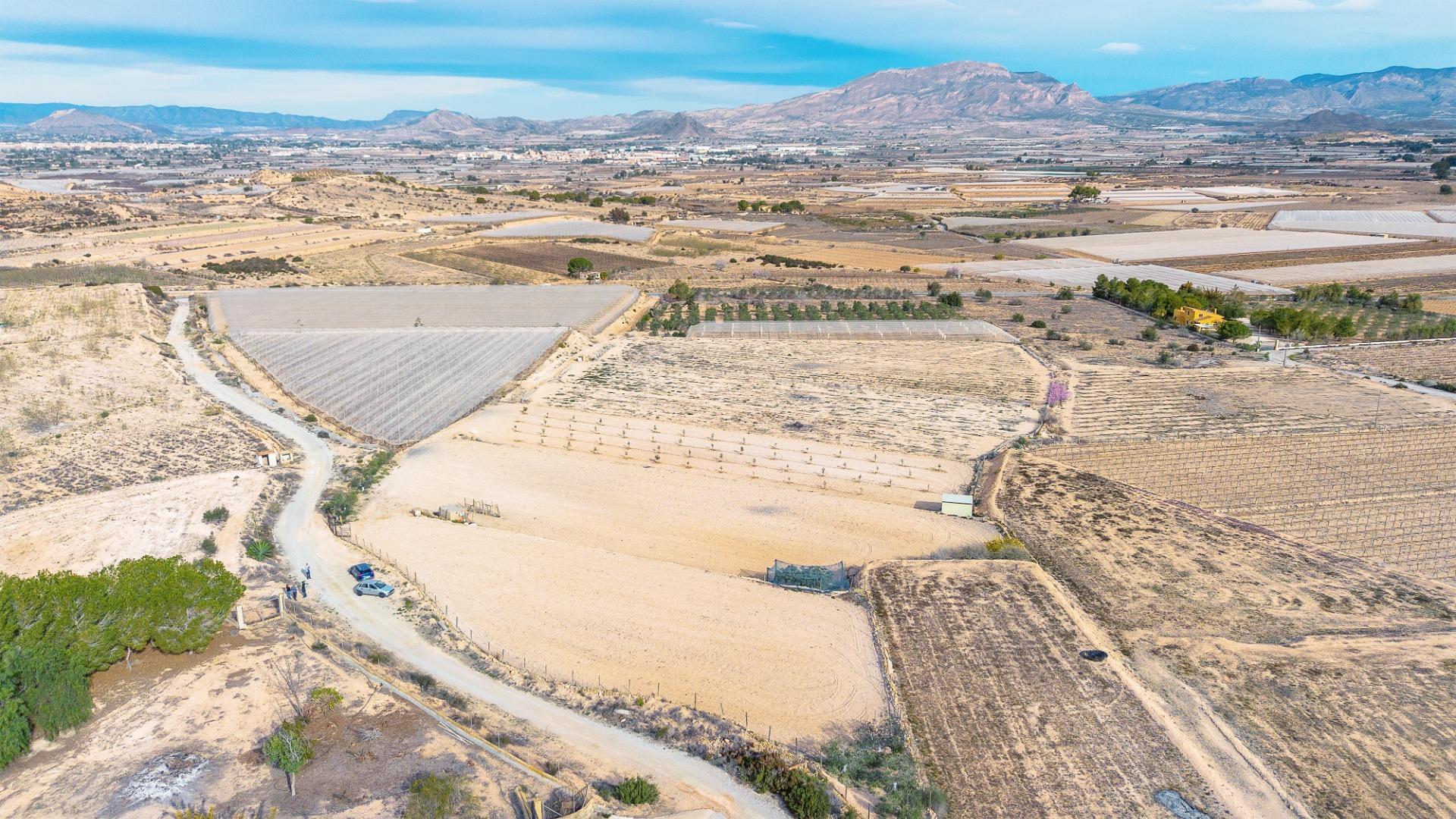 Fincas y solares-Venta-Monforte del Cid-1652916-Foto-3