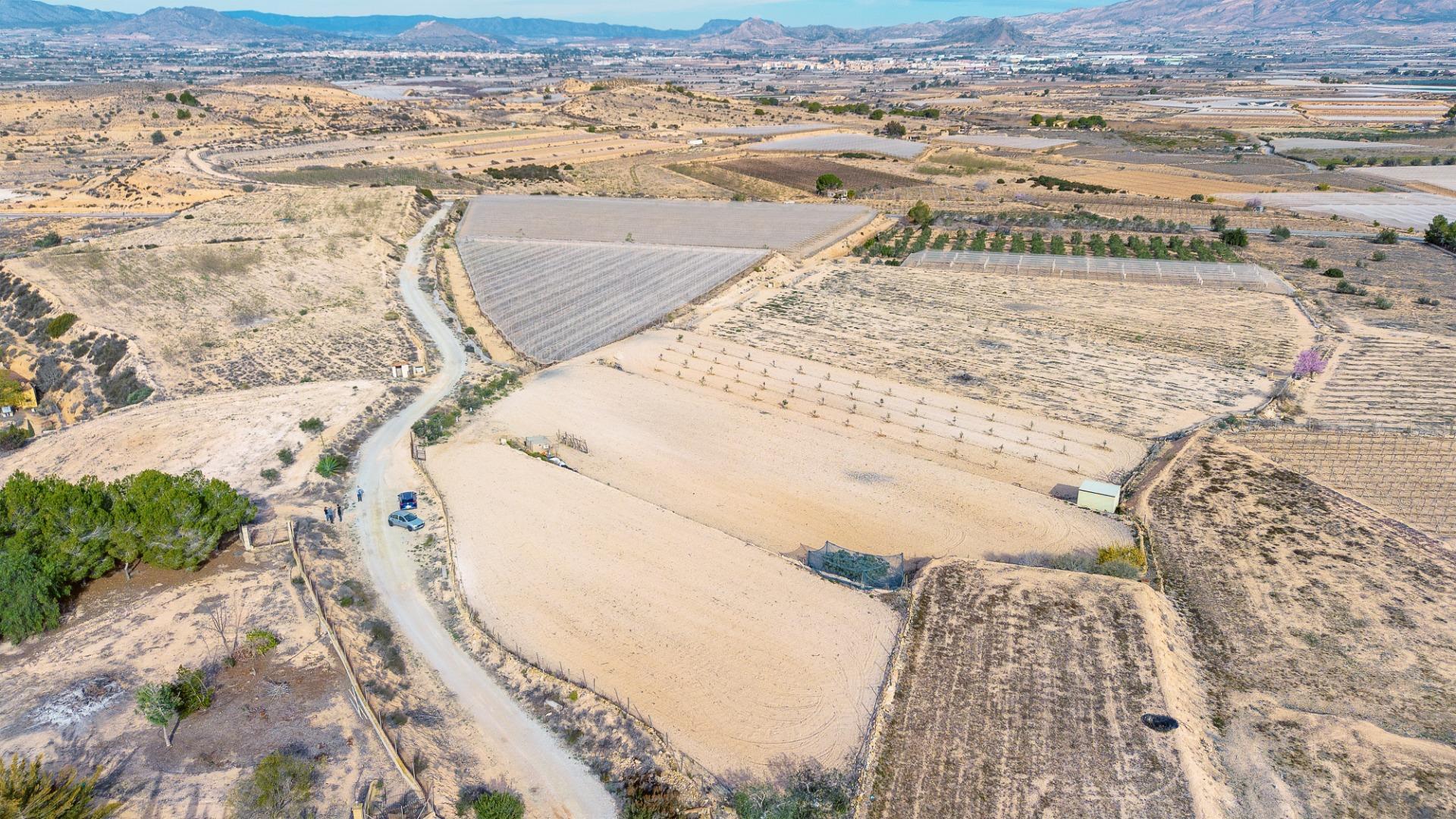 Fincas y solares-Venta-Monforte del Cid-1652916-Foto-7