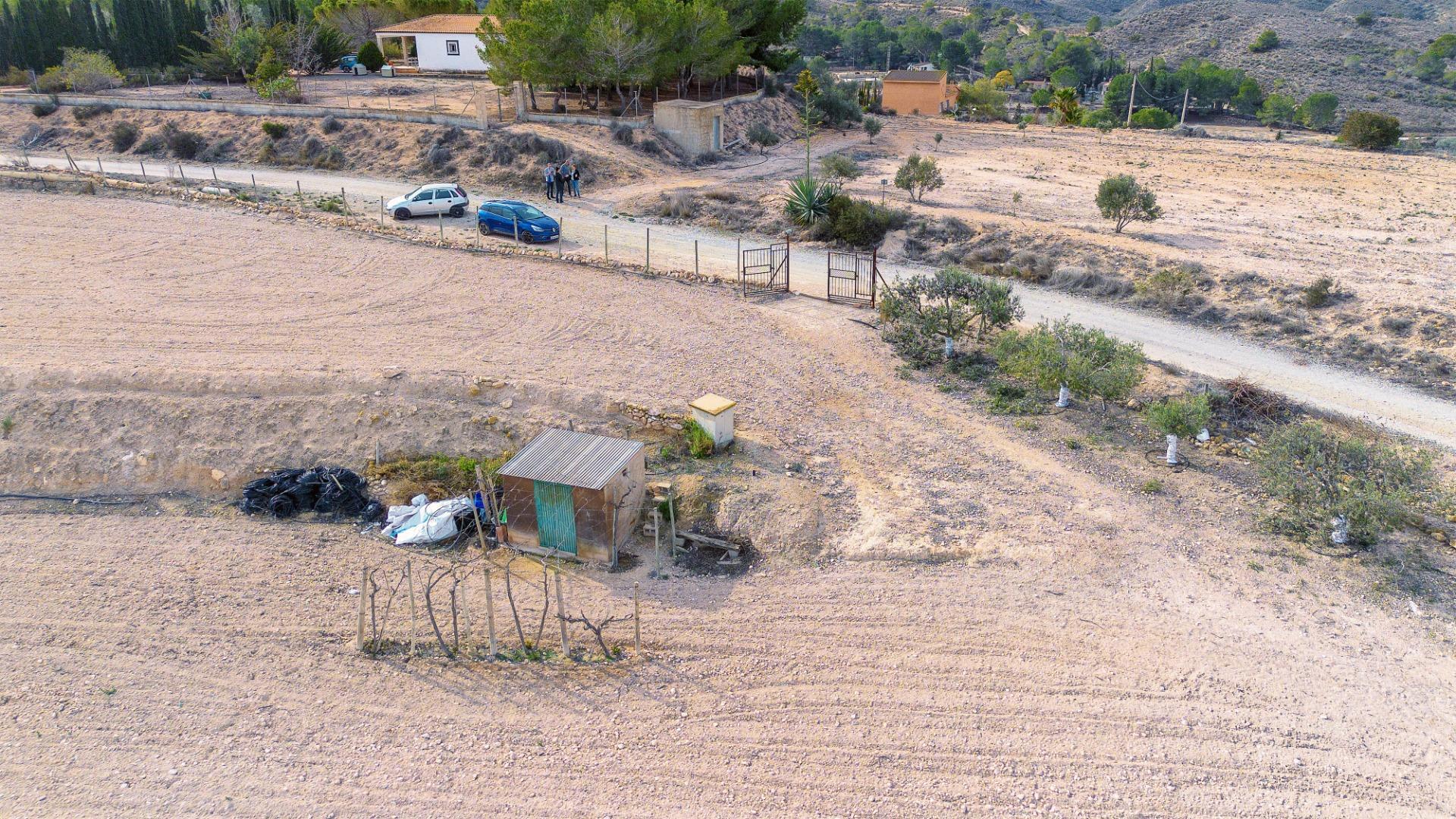Fincas y solares-Venta-Monforte del Cid-1652916-Foto-10