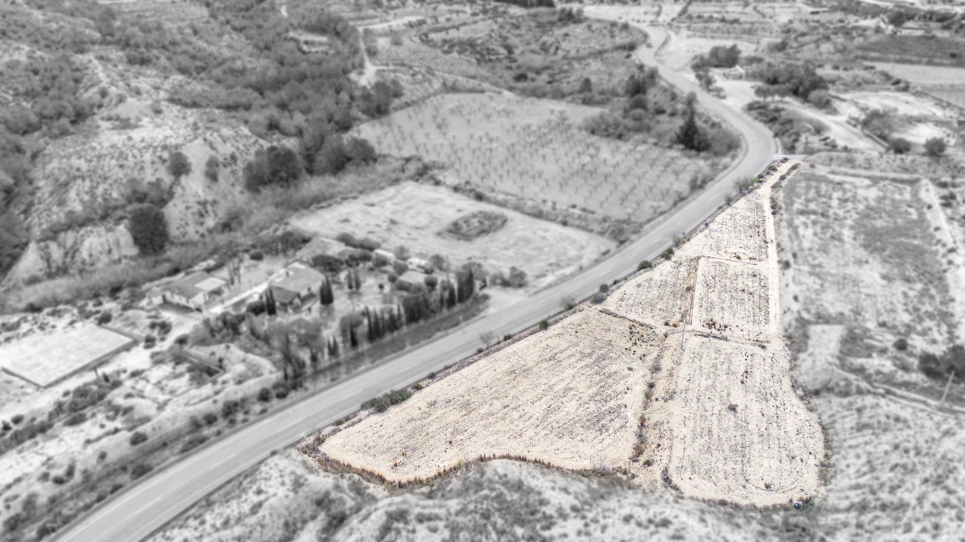 Fincas y solares-Venta-Aspe-1652892