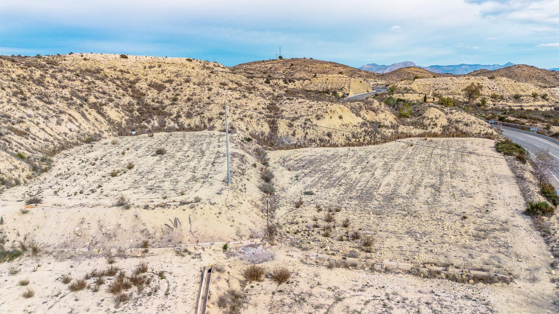 Fincas y solares-Venta-Aspe-1652892-Foto-11