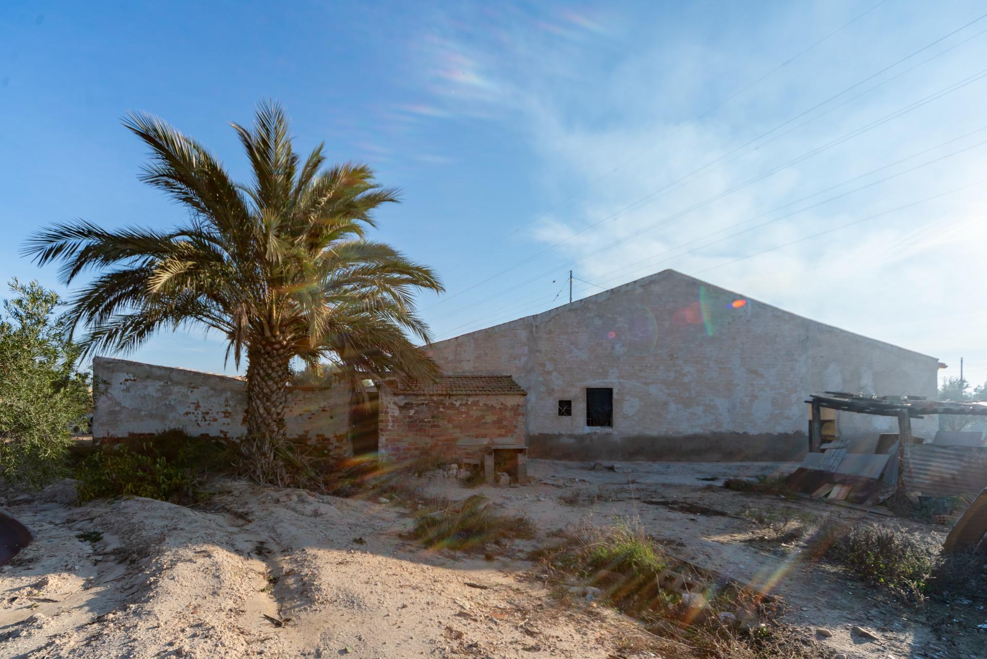 Pisos-Venta-Crevillent-1508304-Foto-6