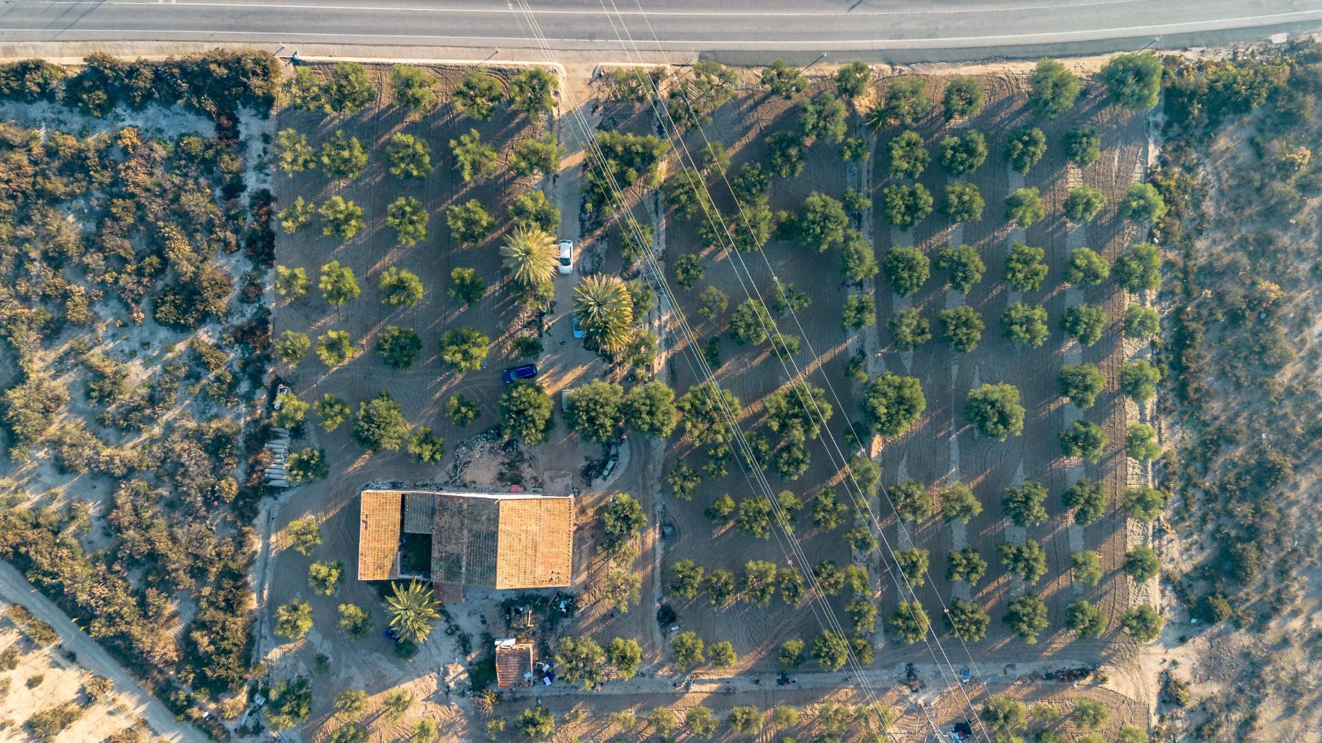 Pisos-Venta-Crevillent-1508304-Foto-18