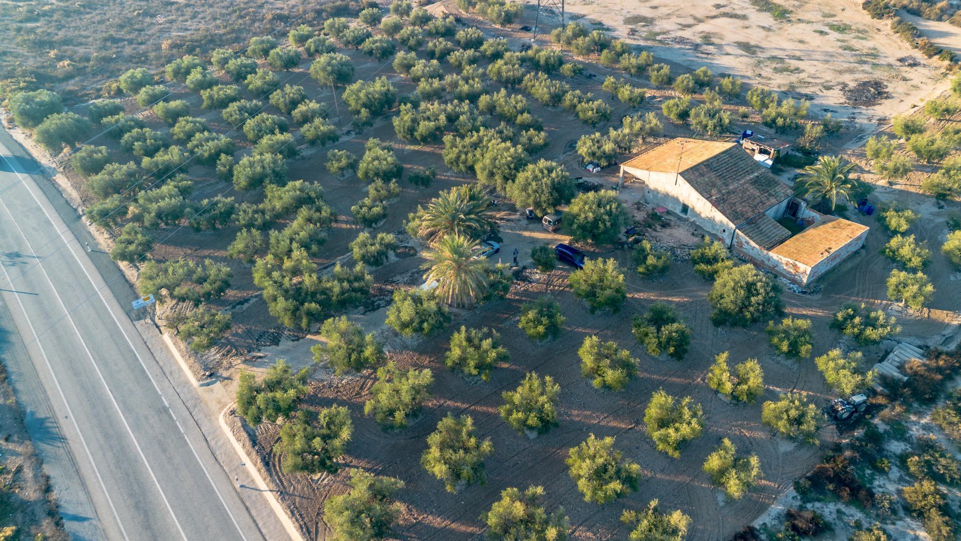Pisos-Venta-Crevillent-1508304-Foto-19