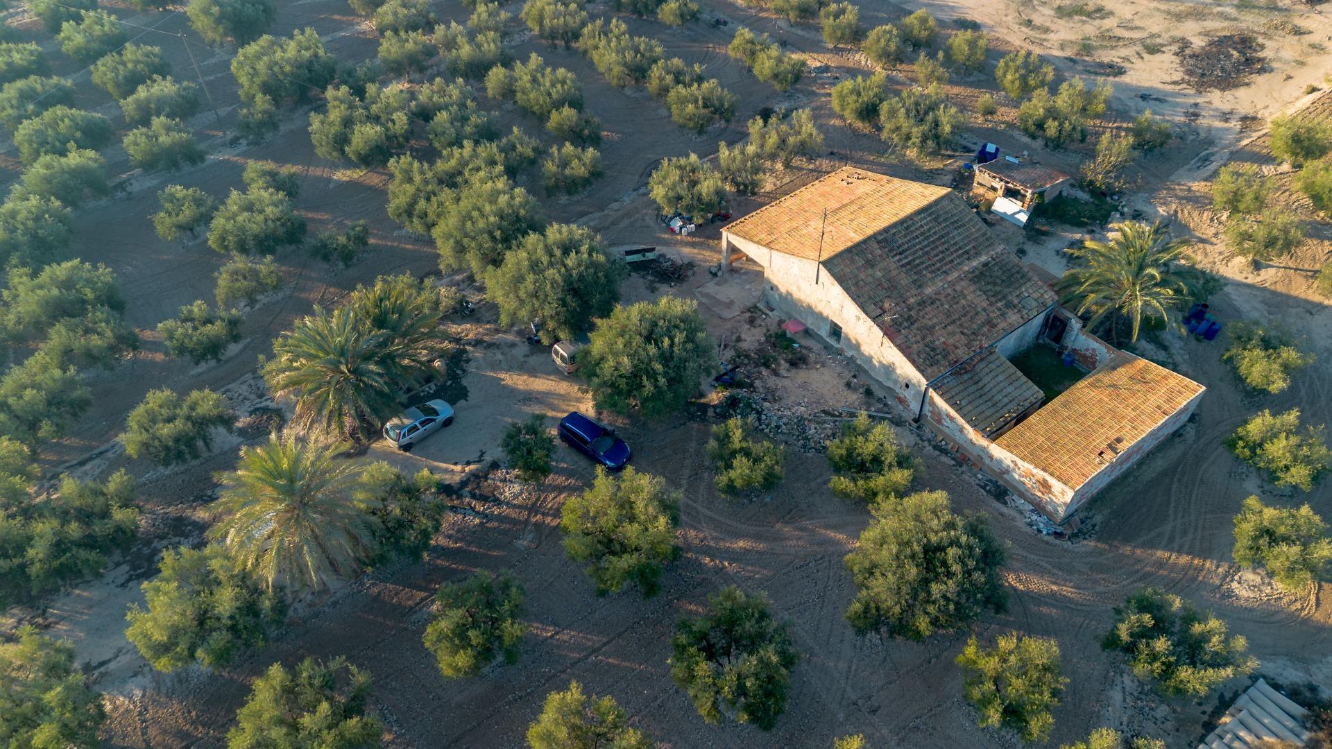Pisos-Venta-Crevillent-1508304-Foto-24