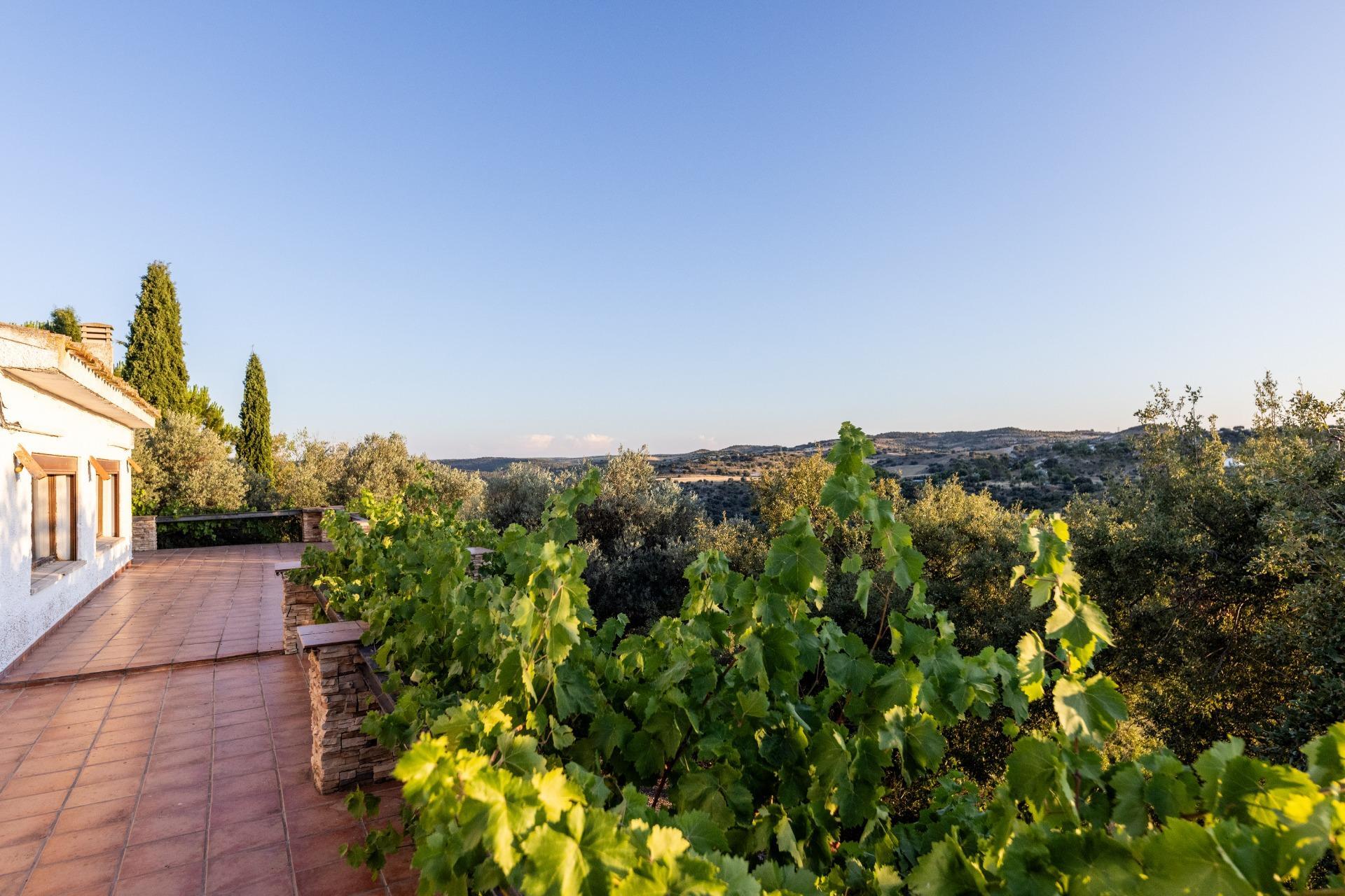 Villa in Perales de Tajuña