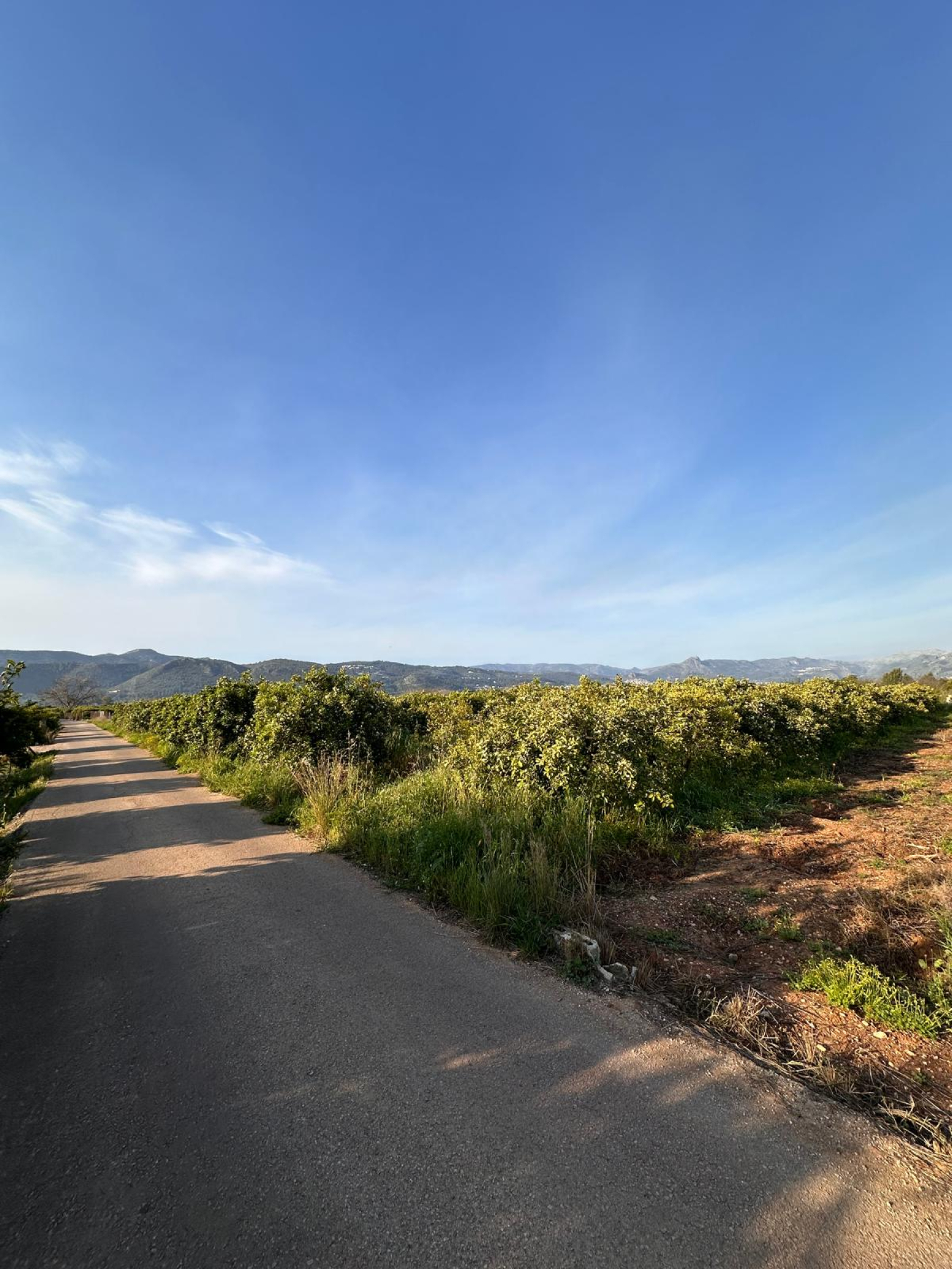 Fincas y solares-Venta-Beniarbeig-1711527