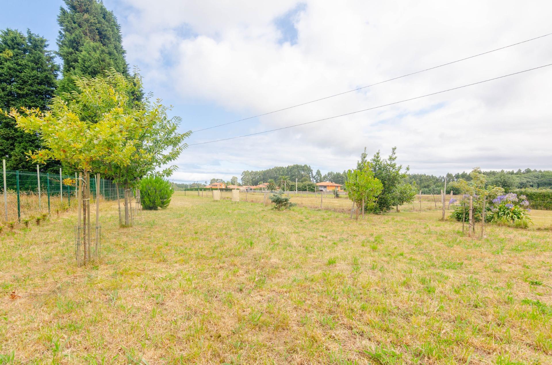 Casas o chalets-Venta-Soto del Barco-1832520-Foto-46