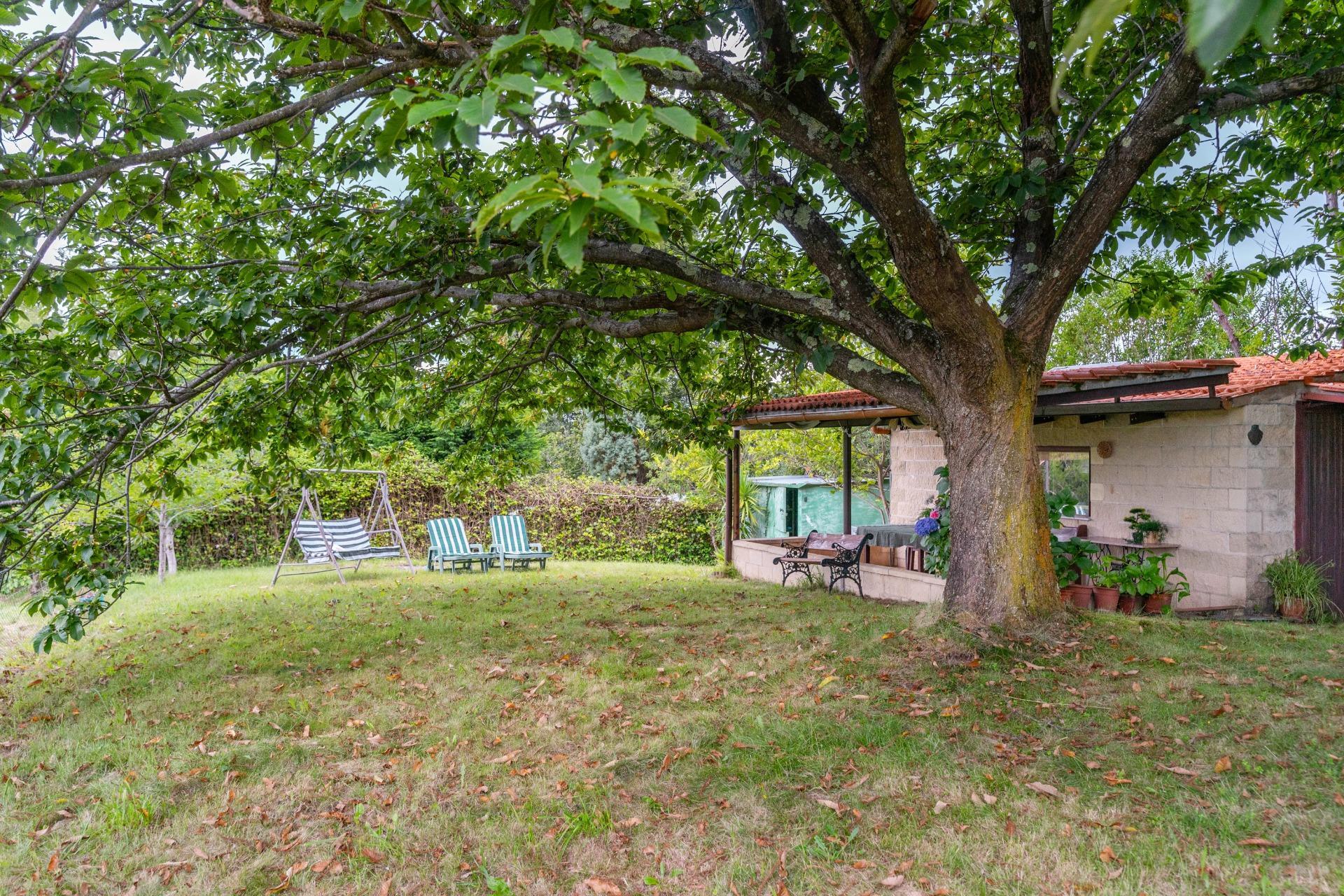 Casas o chalets-Venta-Langreo-1832535-Foto-3