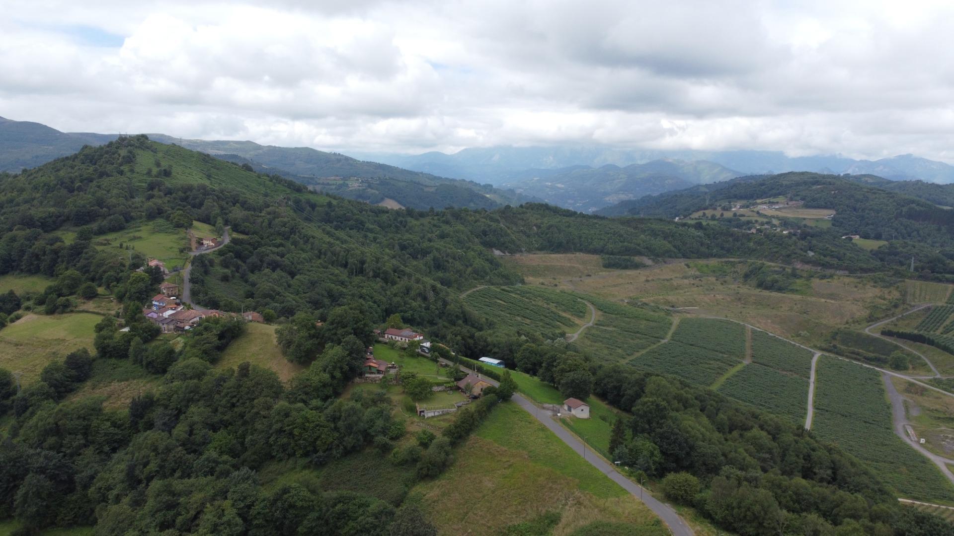 Casas o chalets-Venta-Langreo-1832535-Foto-12